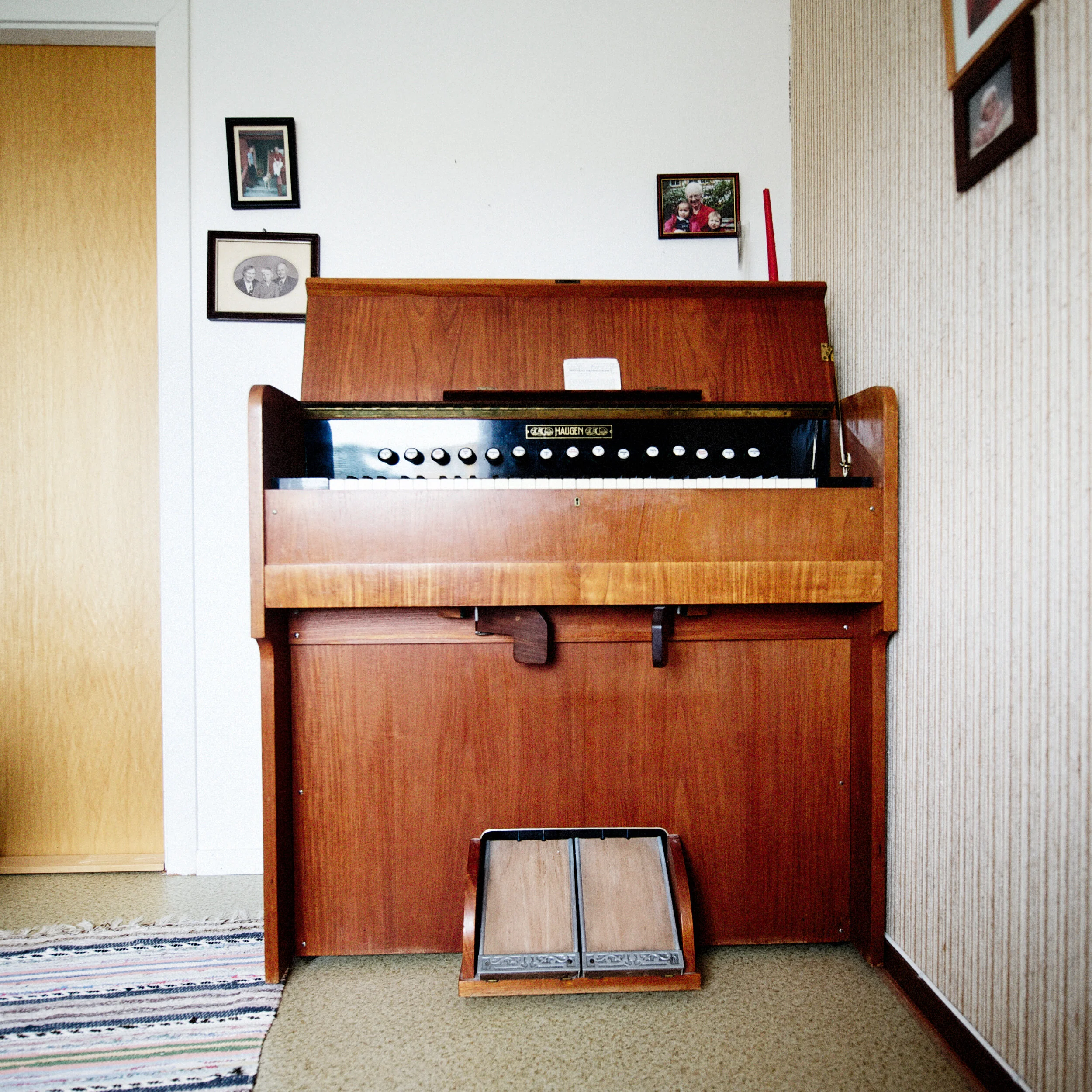 orgel2016_2.jpg