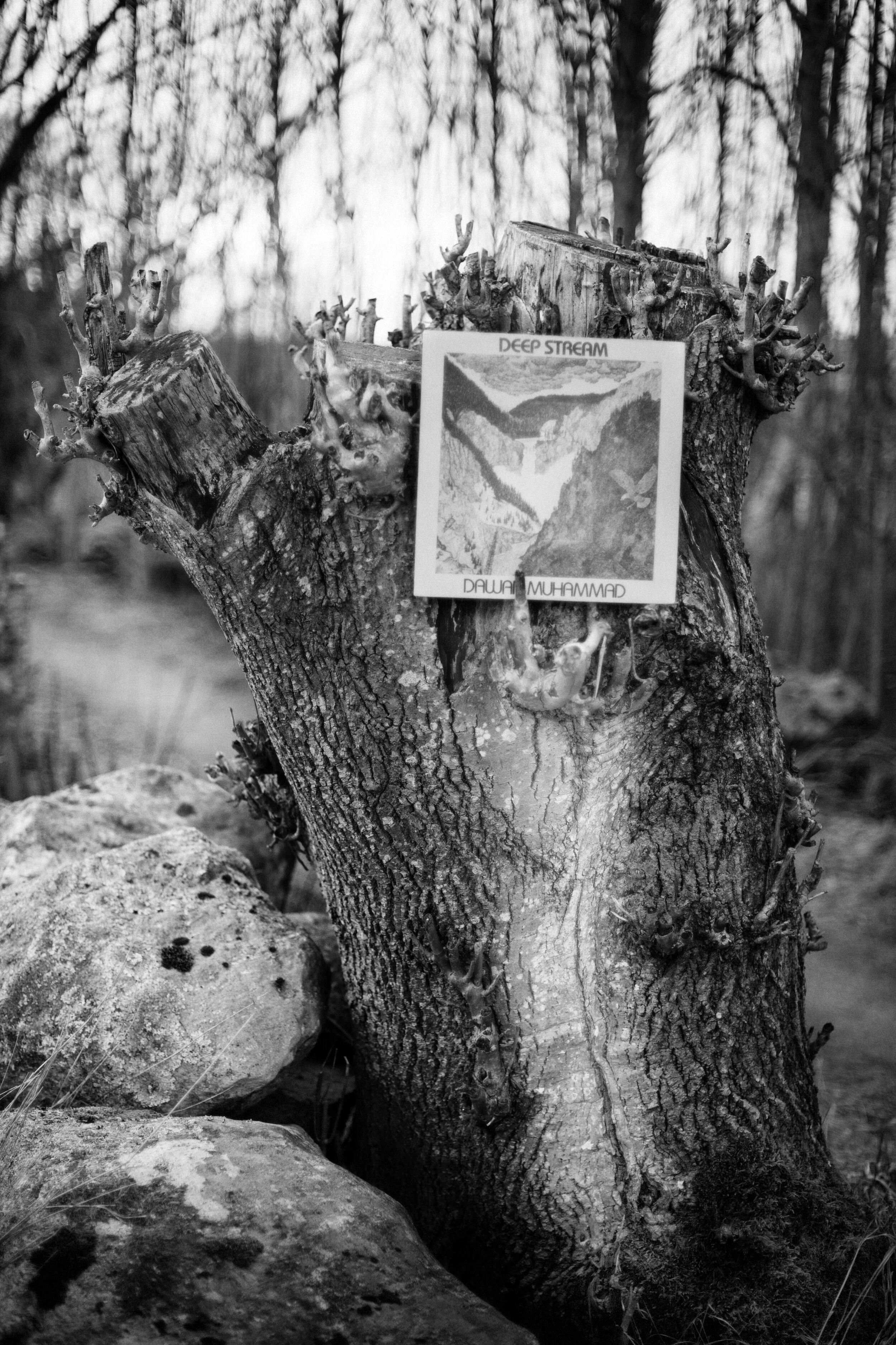  Dawan Muhammad - Deep Stream. Evidence Artistic Records 1979. 