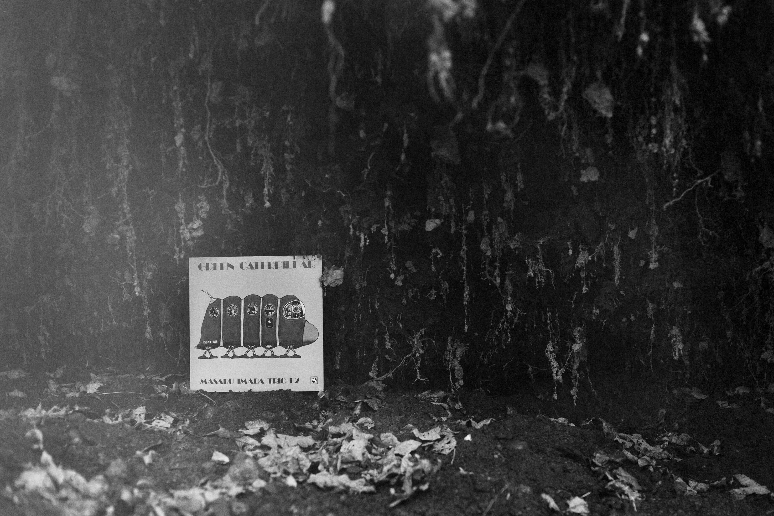  Masaru Imada Trio +2 - Caterpillar. Three Blind Mice Records 1977. 