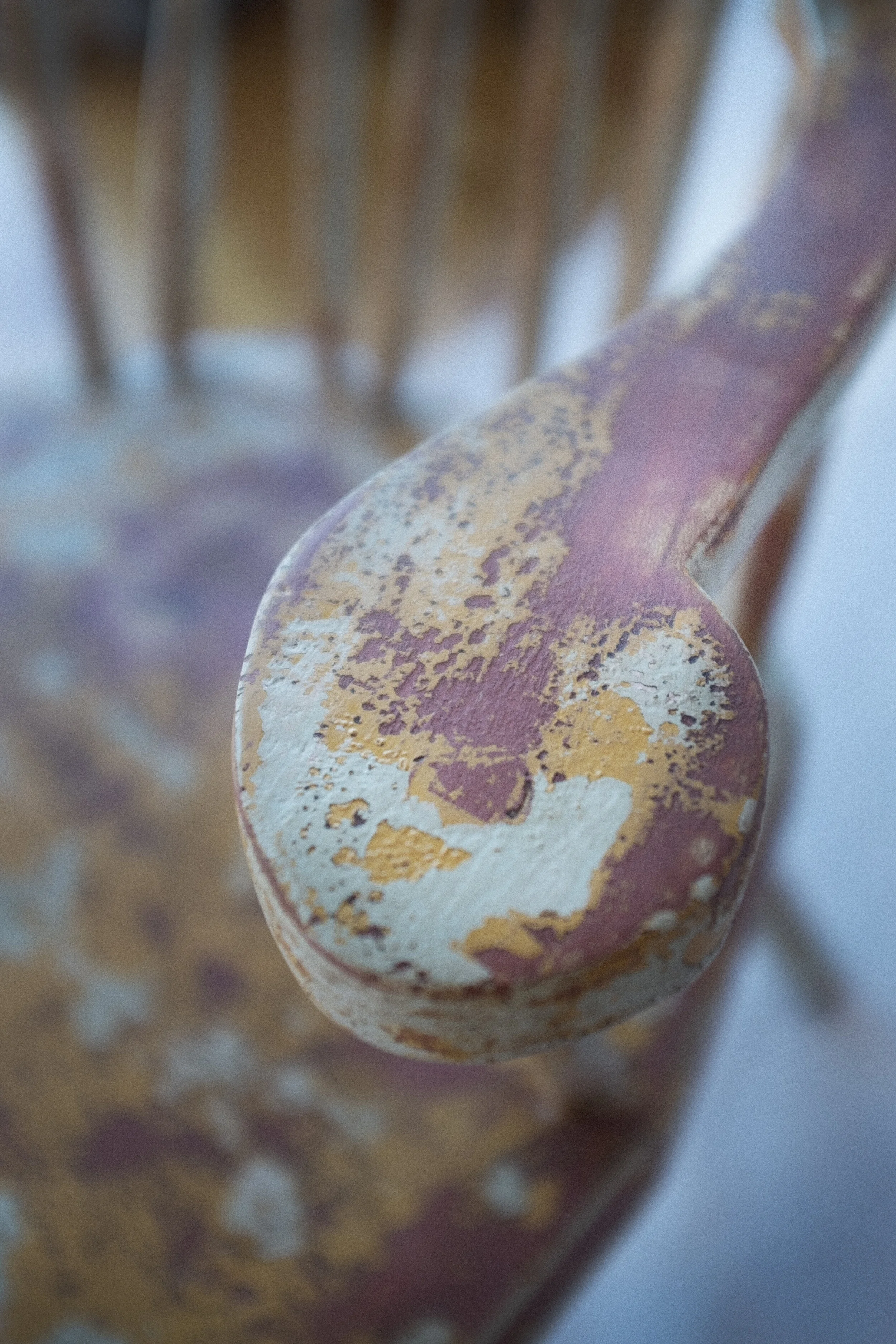 DSCF6633.jpg