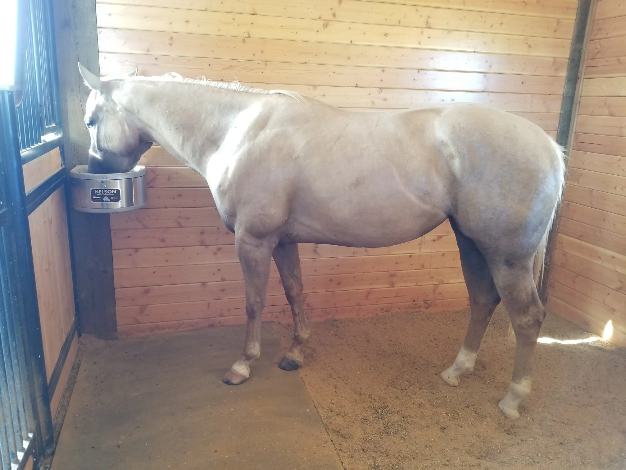 Arenas Ranch Works