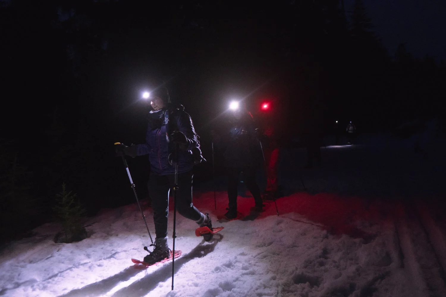 cascades, oregon, usa (2026)