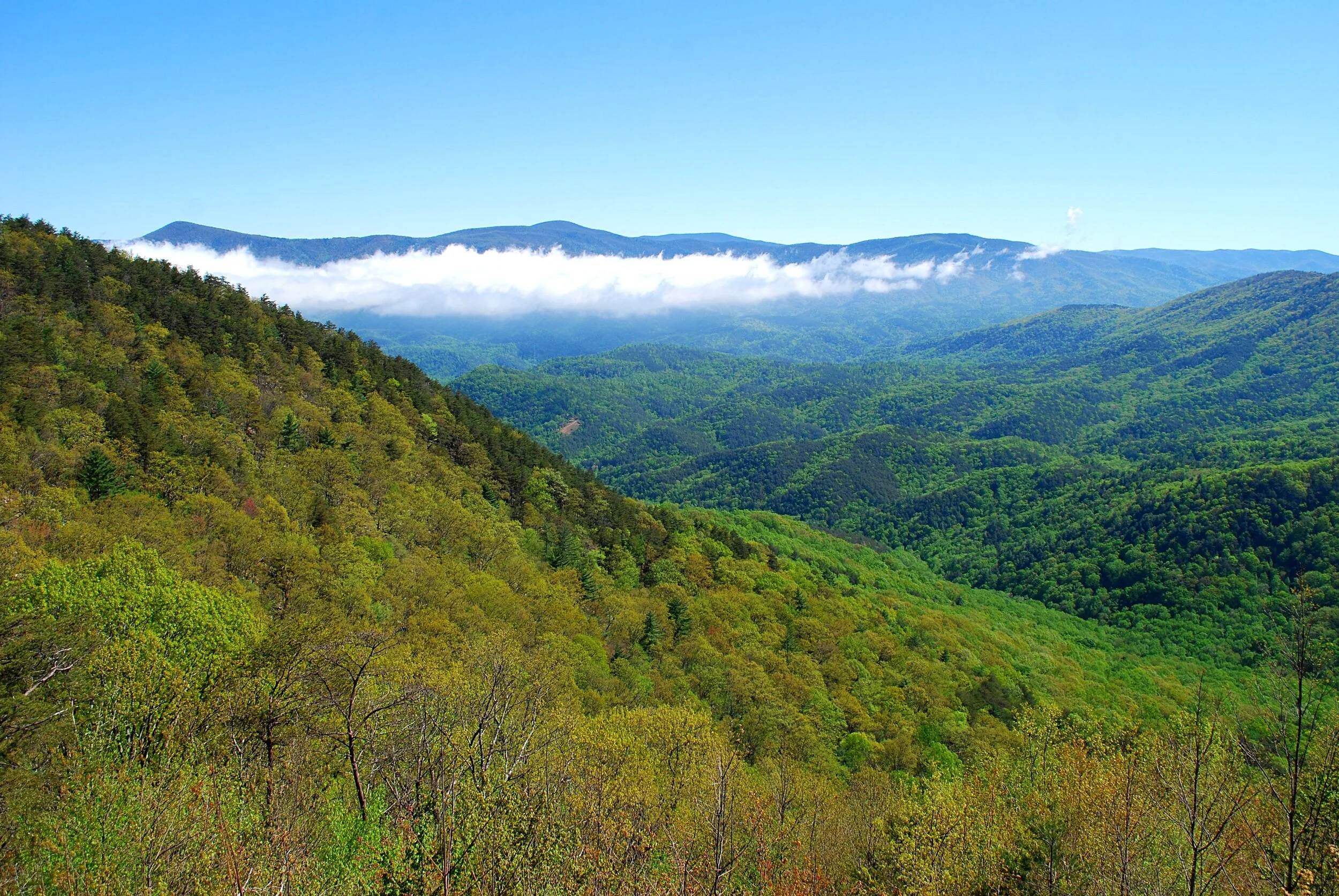 Explore History and Nature in Northwest Fort Mountain State