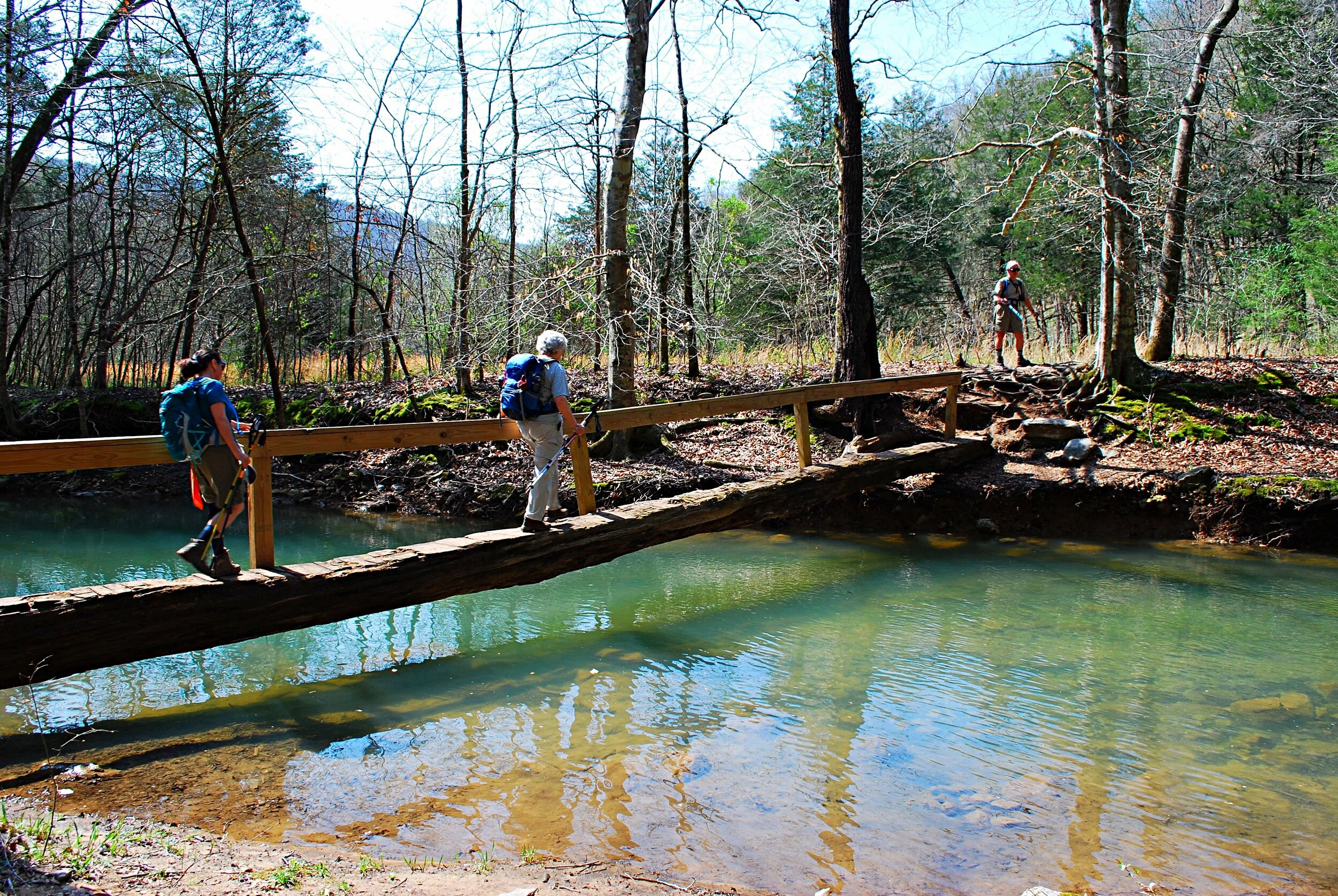 Hiking to the South Cumberlands’ Walls of Jericho — Thrive Regional Partnership