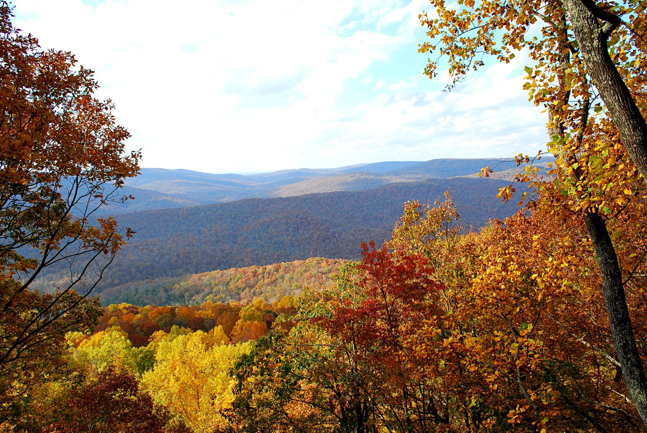 Franklin Forest - Off the Beaten Path — Thrive Regional Partnership