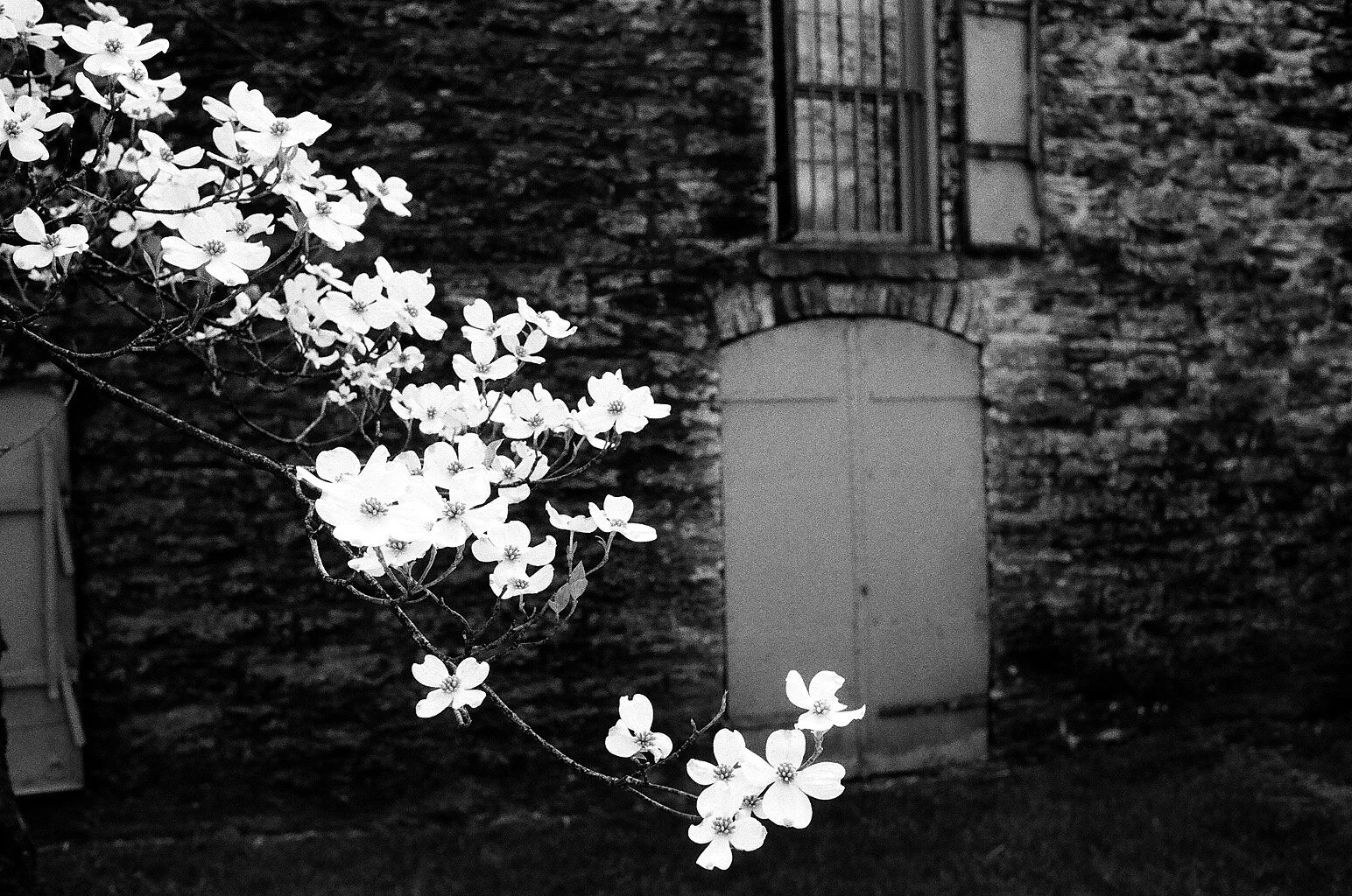 Woodford Reserve Distillery - Versailles, KY