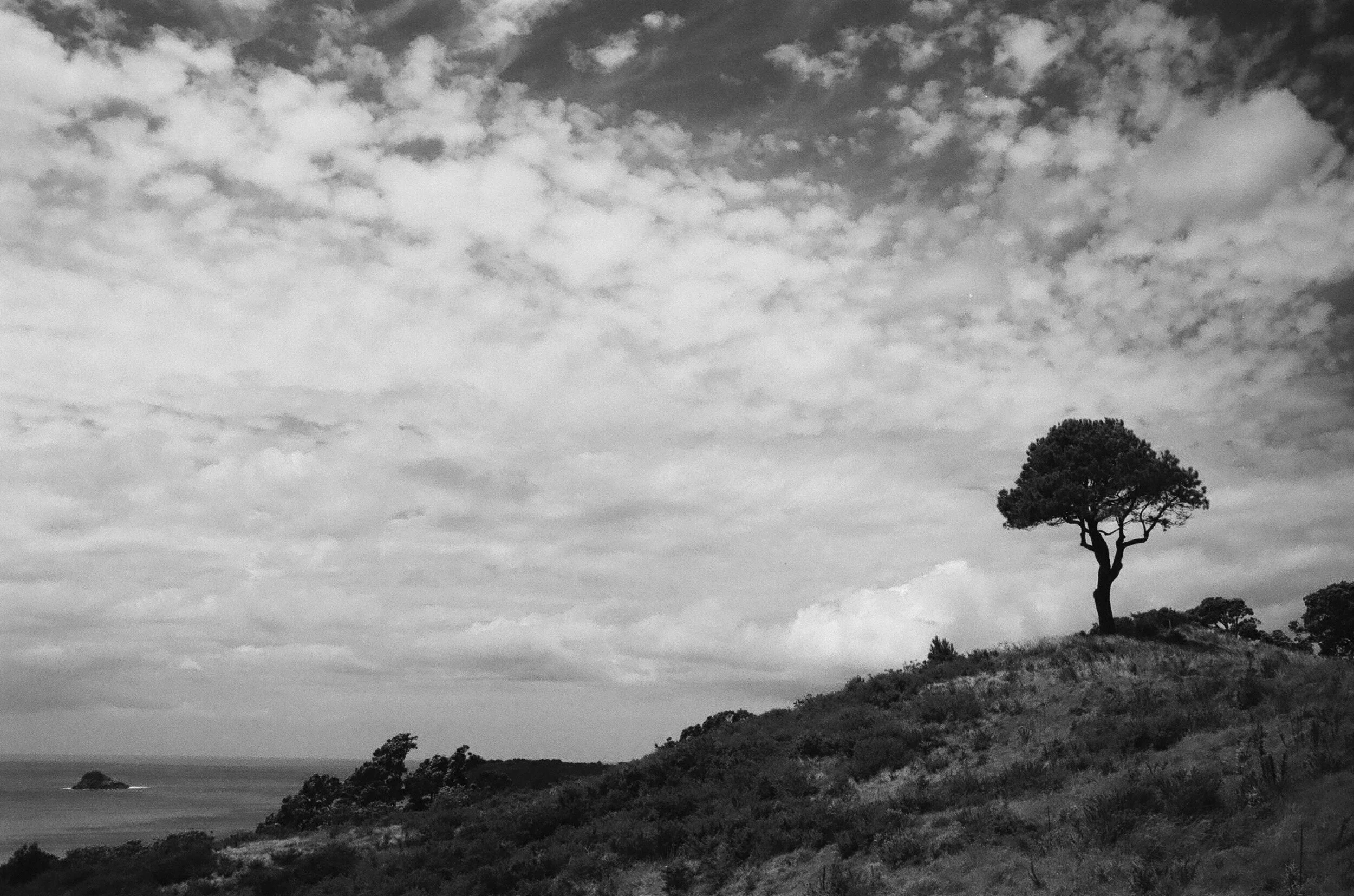 Hahei - Coromandel Peninsula, New Zealand