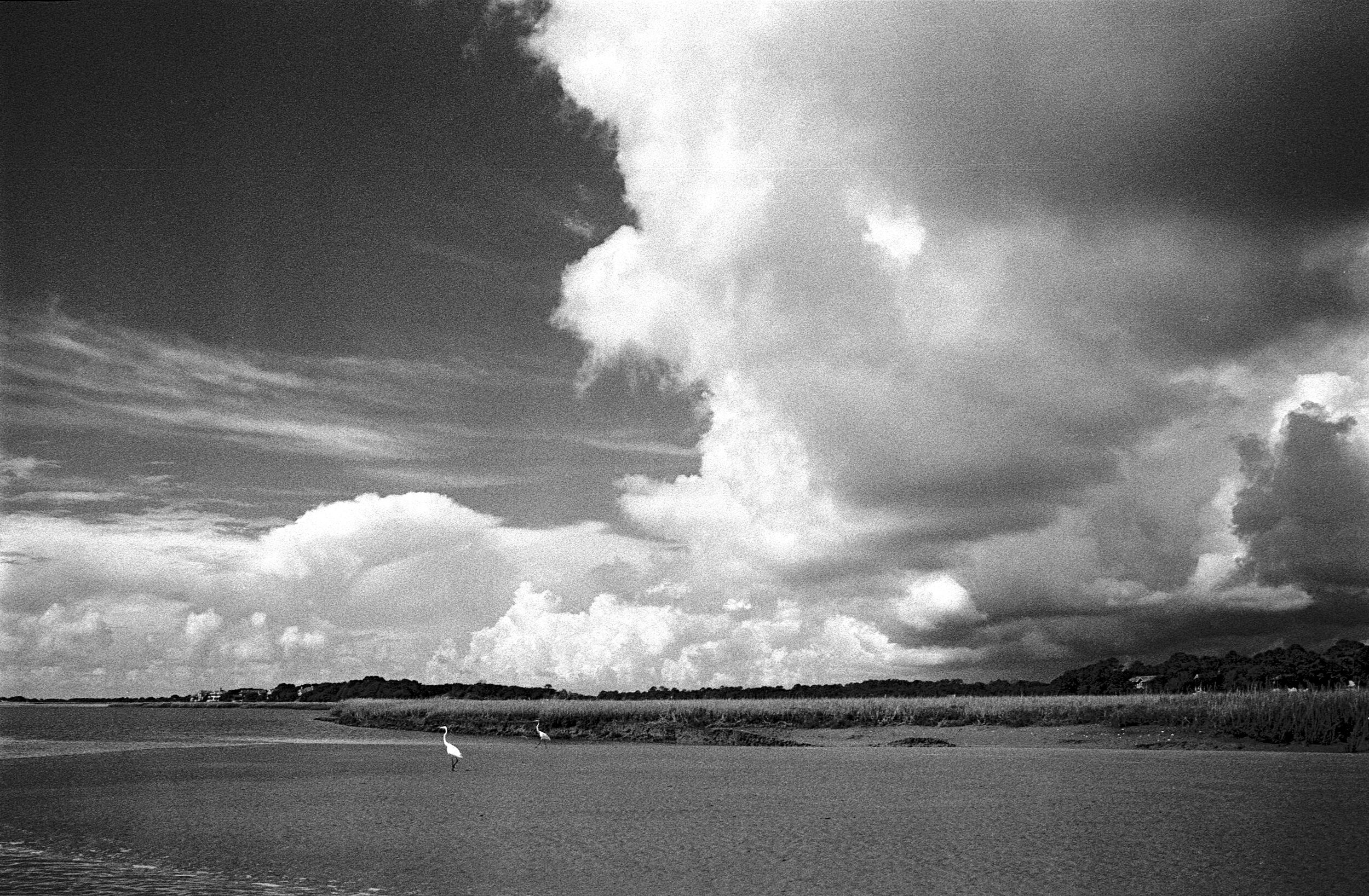 Kiwah River - Kiwah Island, SC