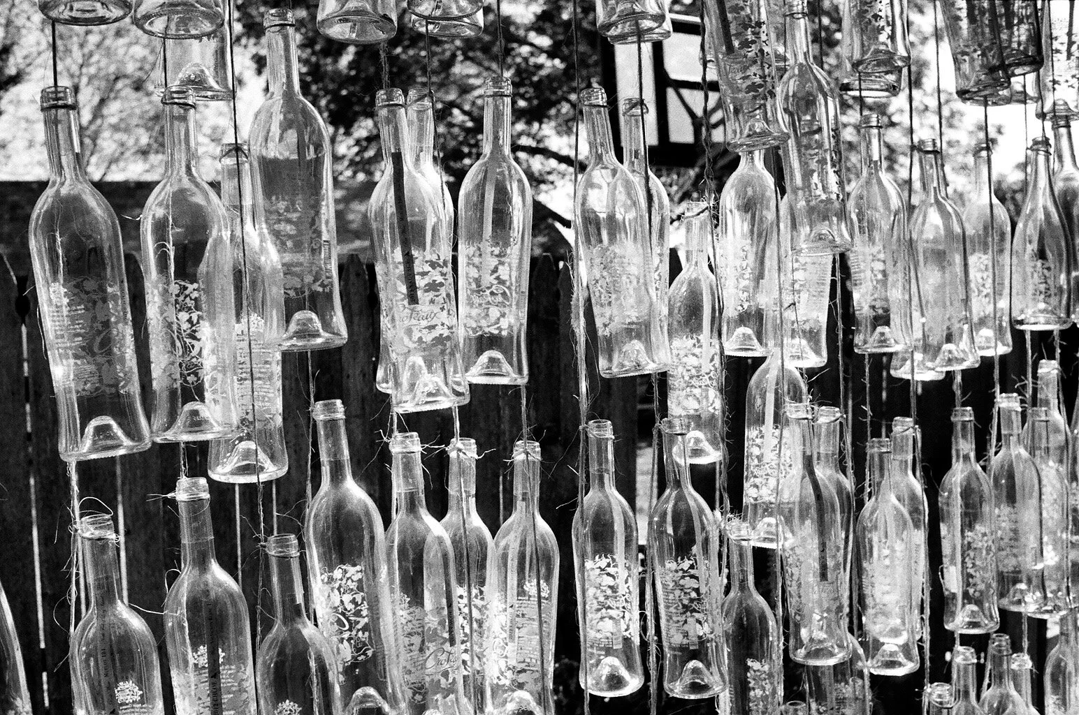 Croteaux Vineyard - Southold, NY