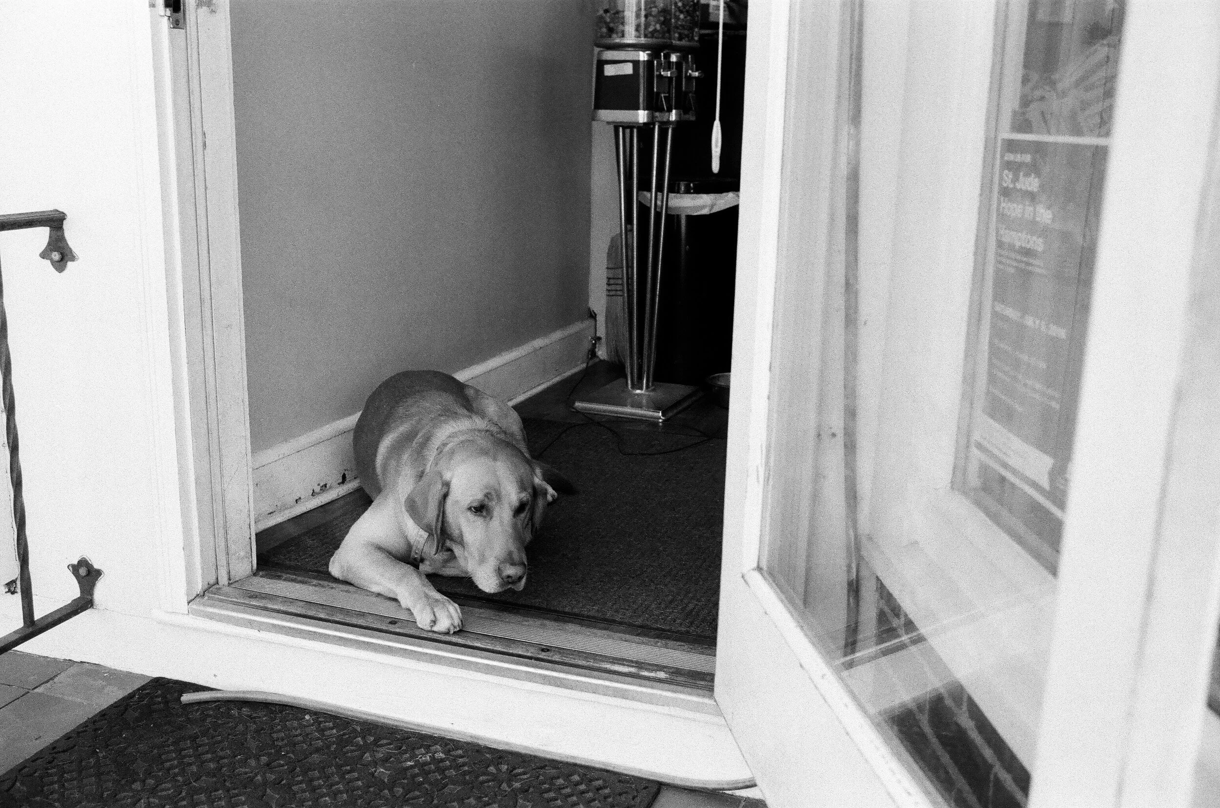 Ralph's Barber Shop - Southampton, NY