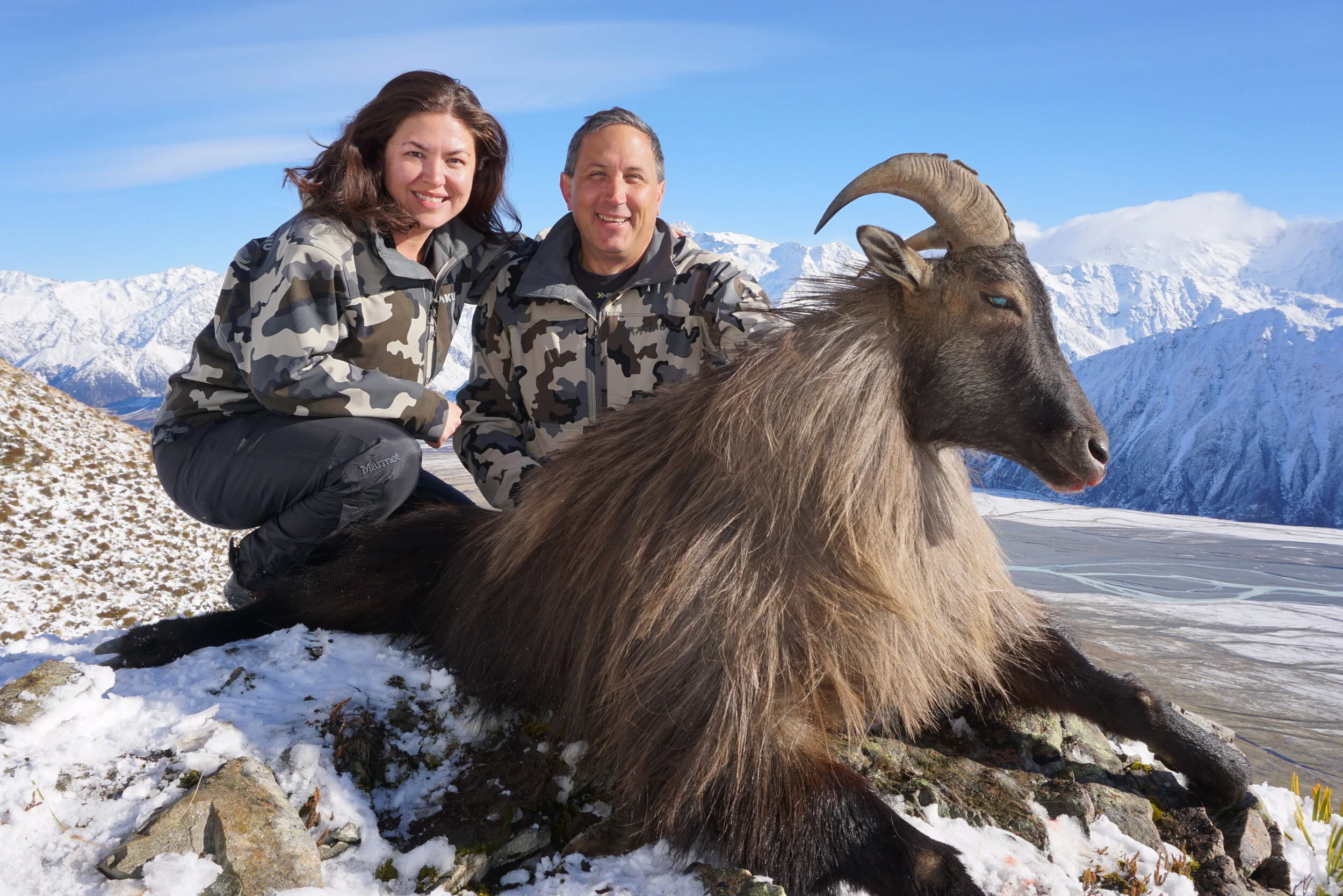 Bull Tahr