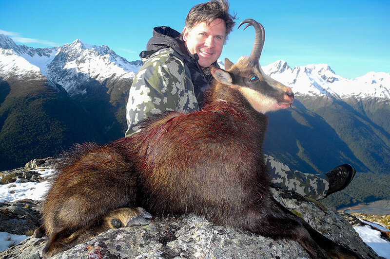 Chamois  New Zealand Deerstalkers Association Inc