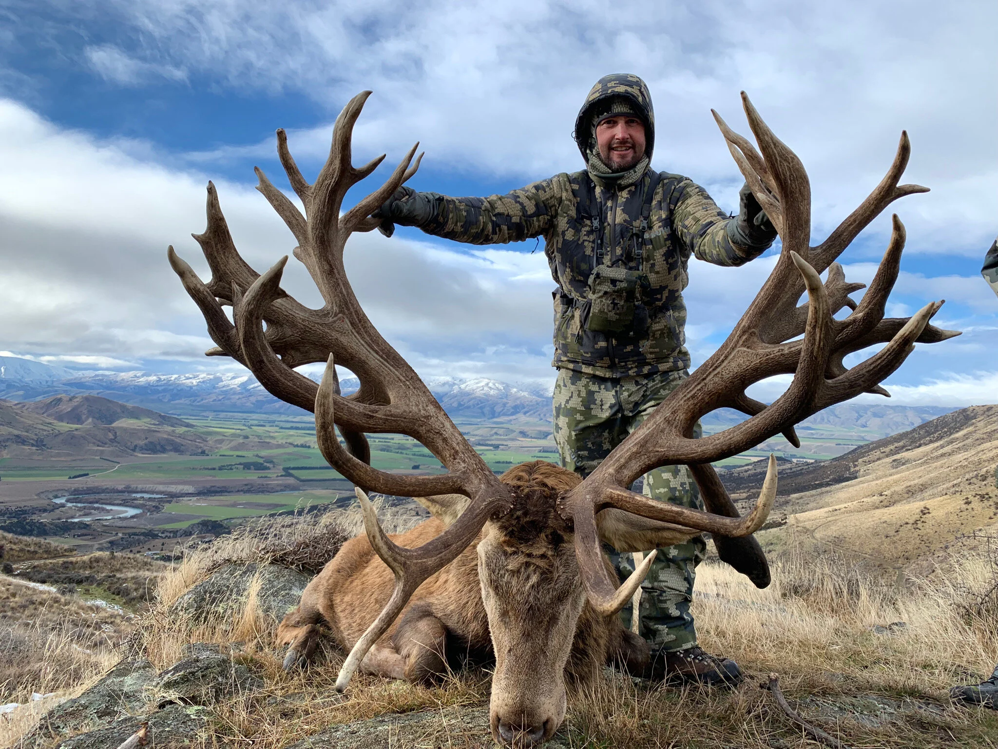 Giant red stag hunting New Zealand 