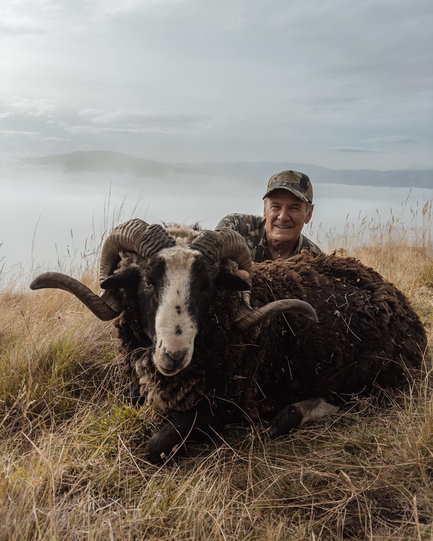 Misty morning ram hunt 

Photo by guide @joe.fluerty 

#exclusiveadventuresnz #newzealand #newzealandhunting #arapawasheep #arapawaram #ramhunting #kuiunation #kuiu #whatgetsyououtdoors #mountainhunting #travelhunting