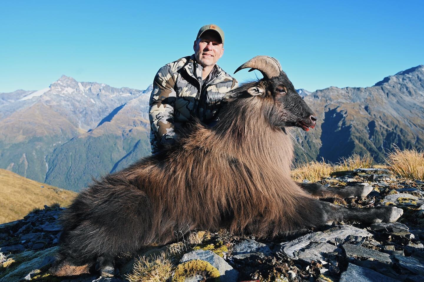 Kings of our New Zealand mountains!!! If you want to hunt these stunning animals get in touch. 

#exclusiveadventurenz #newzealand #newzealandhunting #mountainhunting #tahr #bulltahr #travelhunting #kuiu #kuiunation #whatgetsyououtdoors