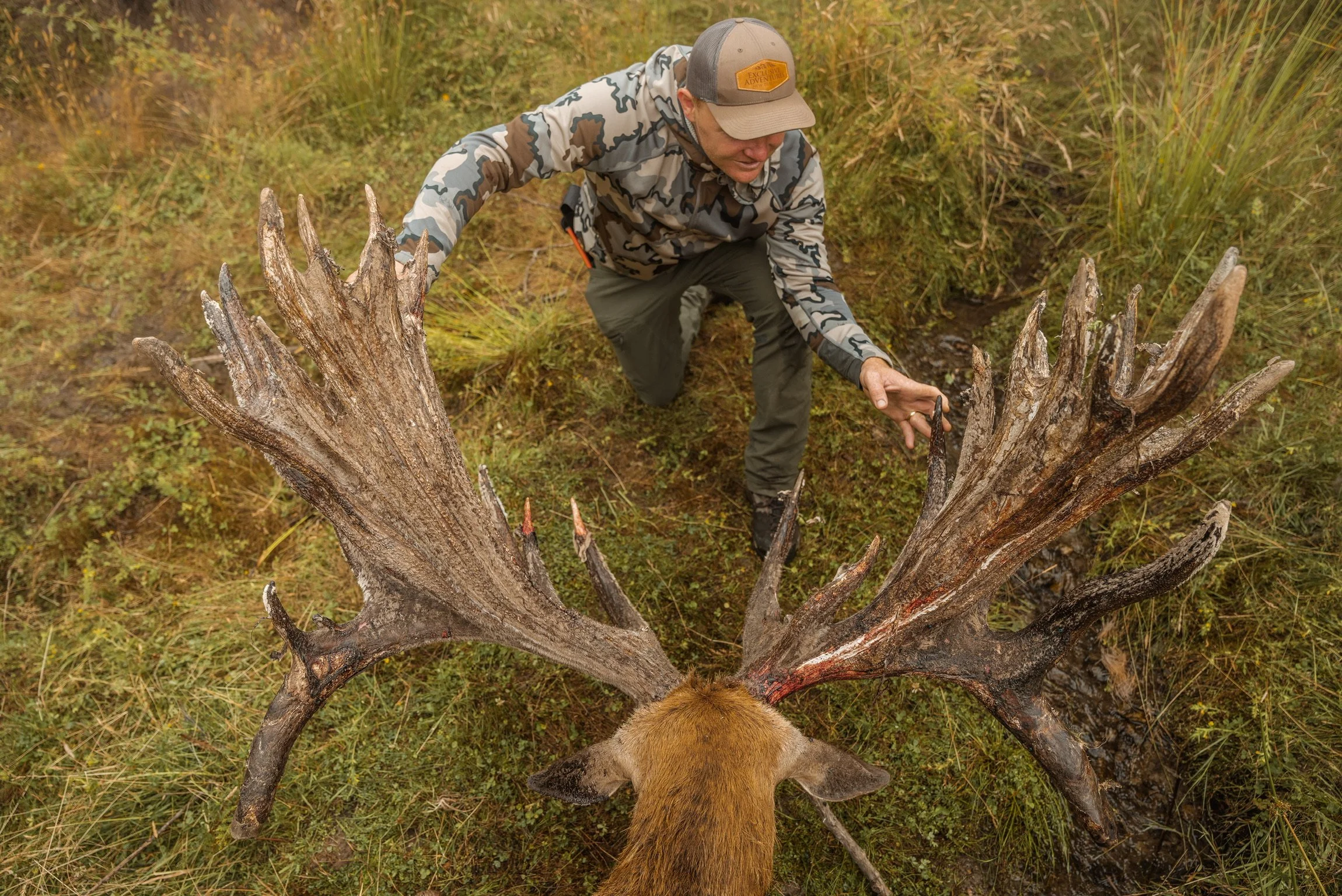 Red-stag-hunt-New-Zealand-50.JPG