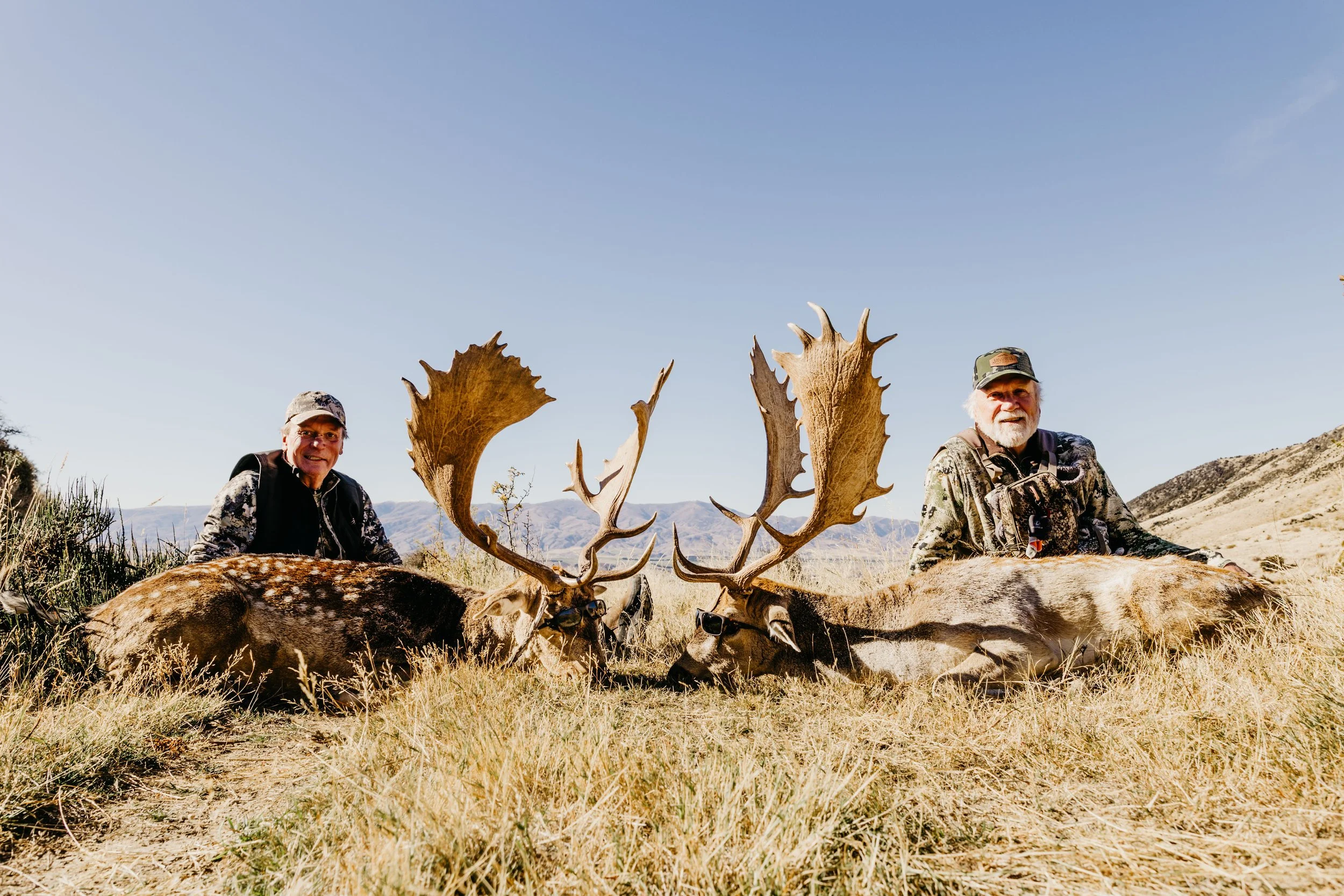 Red stag hunting and fallow deer New Zealand
