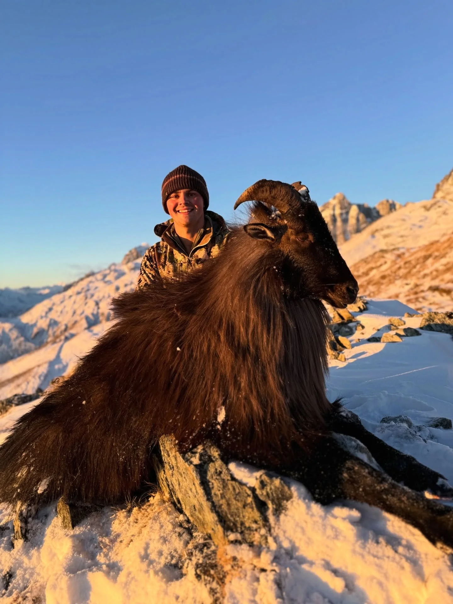 Golden hour paired with a majestic bull tahr in full winter coat 😍 it doesn&rsquo;t get any better! 

Send us a message to book your dream New Zealand hunt for tahr, red stag, elk, chamois, fallow deer, and more species. 

#exclusiveadventuresnz #ne