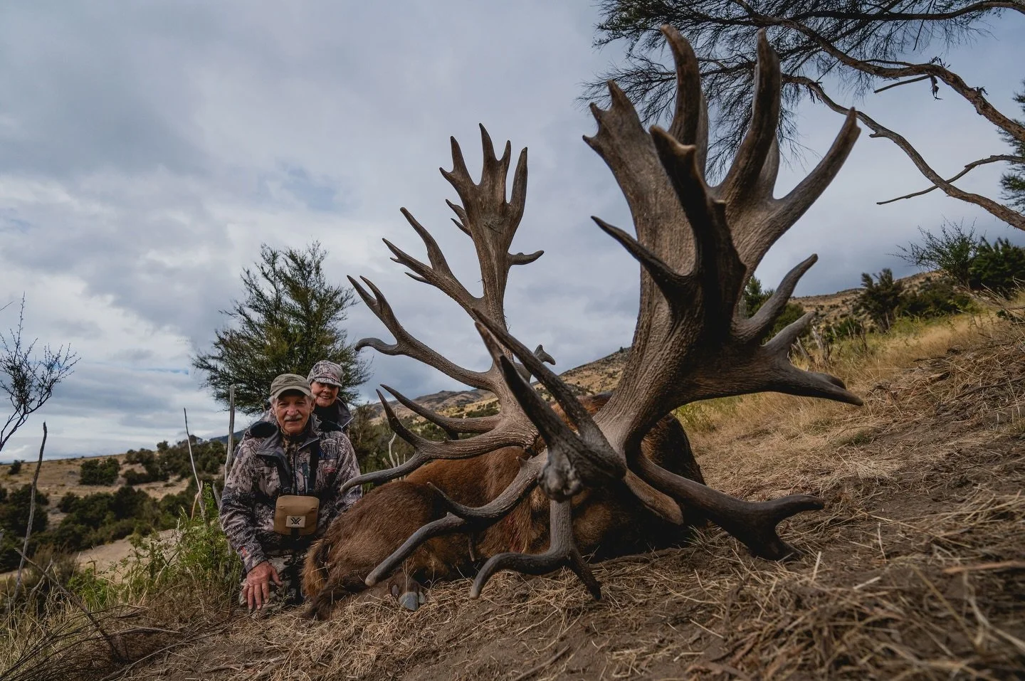 This stag has a different look from every angle! 

Hunt giant red stags like this one with us in New Zealand. Our 2026 season only has a few spots remaining and we are booking out for 2027 &amp; 2028, so get in touch now to plan your hunt. 

#exclusi