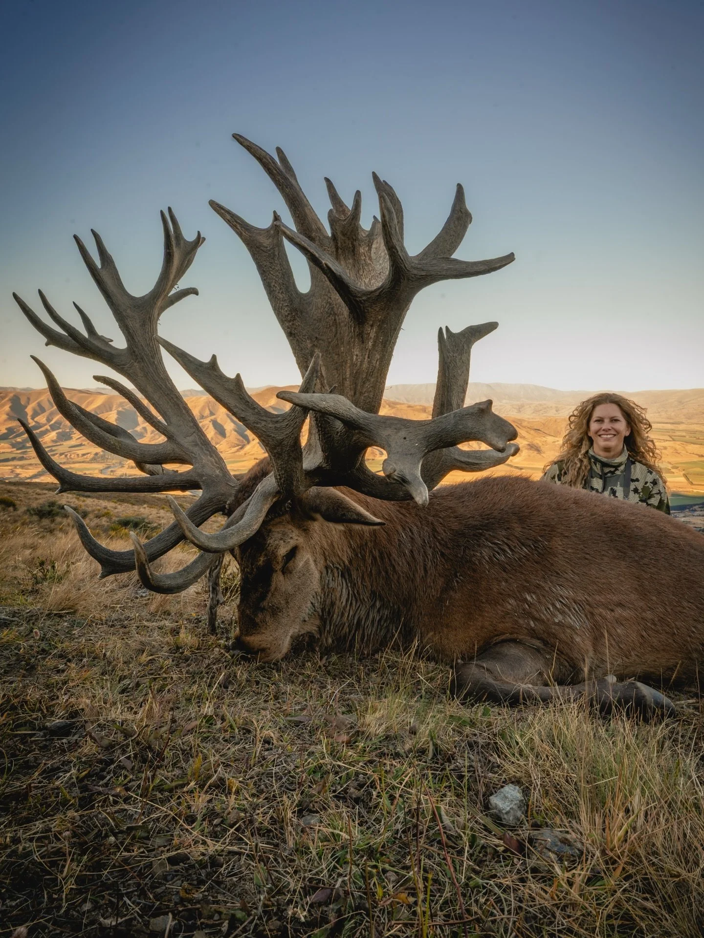 Monster stag complimented by a gorgeous backdrop! It doesn&rsquo;t get any better in New Zealand!

Send us a message to learn more about hunting giant red stags in New Zealand THIS YEAR&hellip; we have some cancellation dates that have just become av