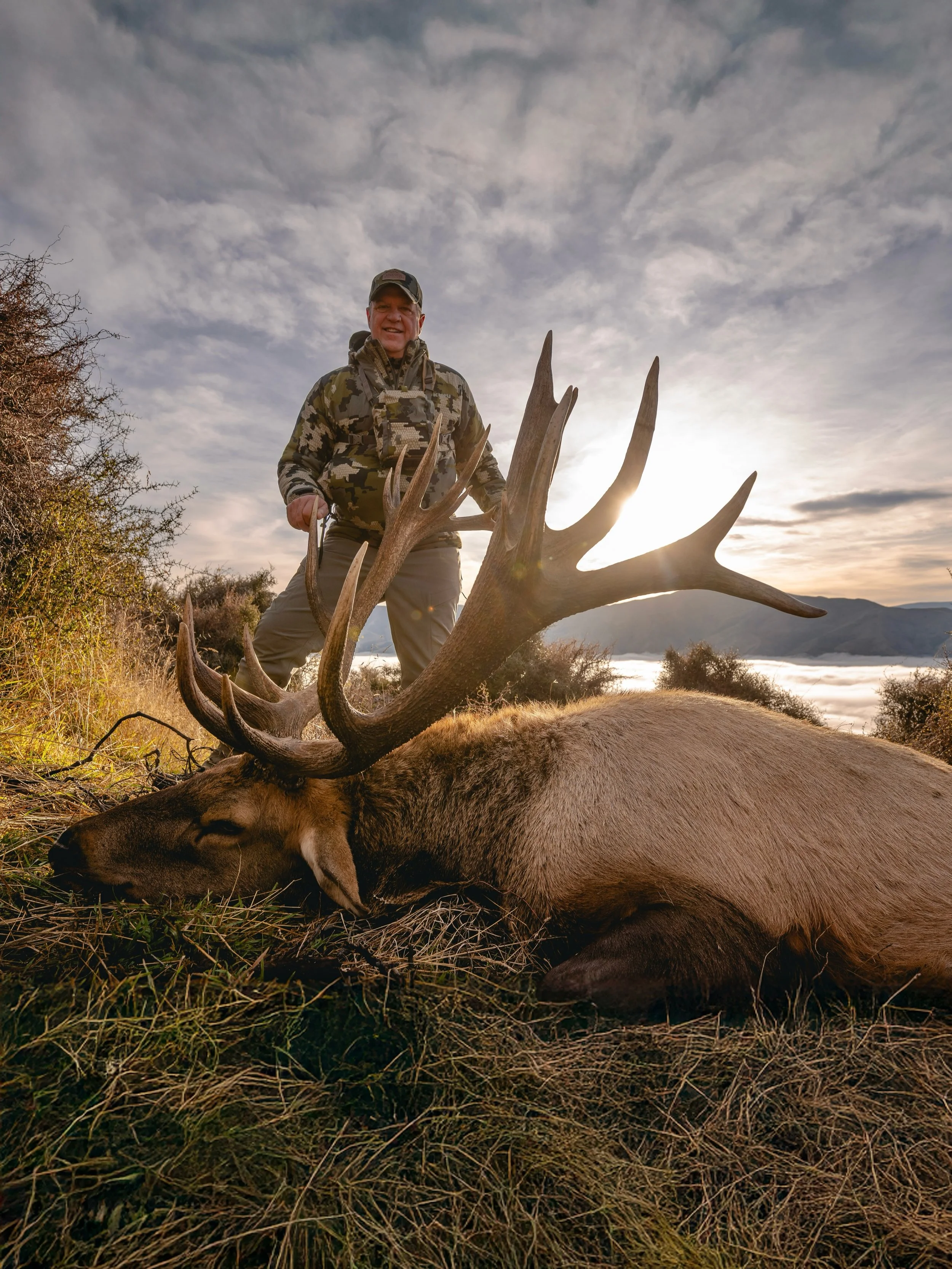 New Zealand wapiti/elk 😍 

Hunt these massive bulls in addition to red stag, fallow deer, tahr, chamois, ram, goat, and more species all from our luxury lodge located in the most beautiful region of the South Island, New Zealand. Send us a message t