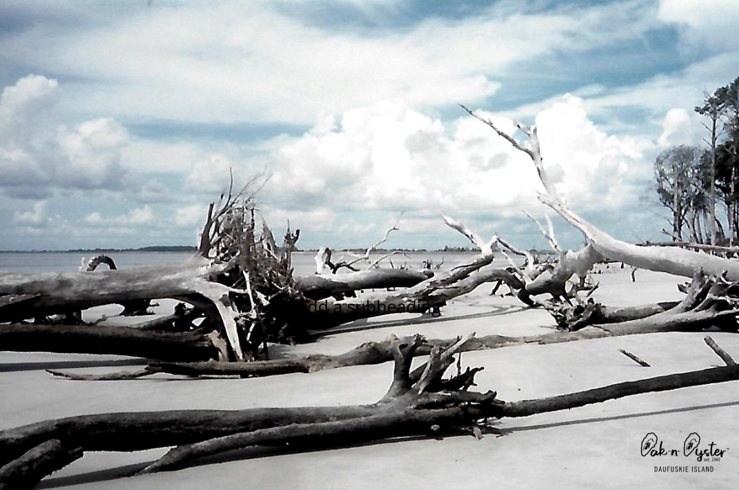  Bloody Point Beach…early 1970’s 