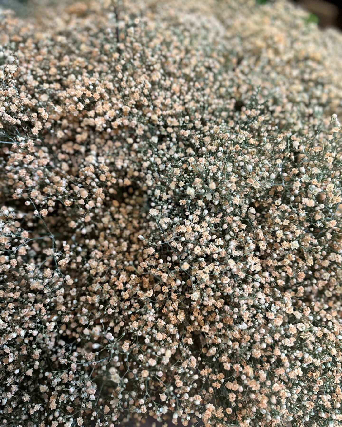 Something special and beautiful in the making. Baby breath for days.