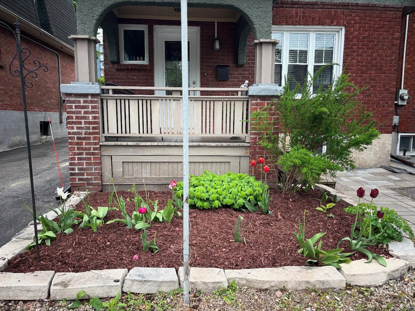 Before :: After
