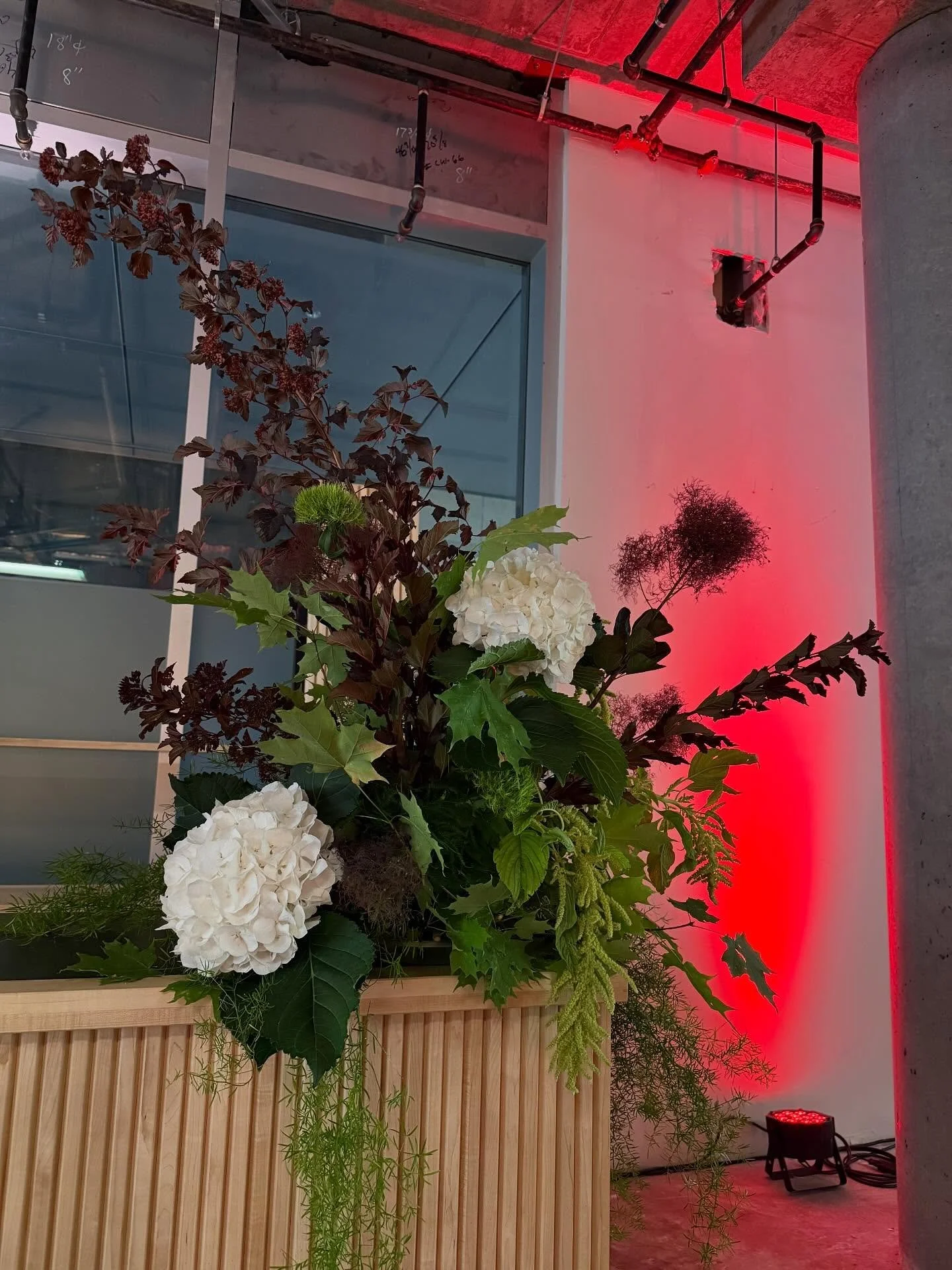 Onsite @restays with @urbanelement613 for @cienalife &hellip; Thank you, what an incredible day. 🤍