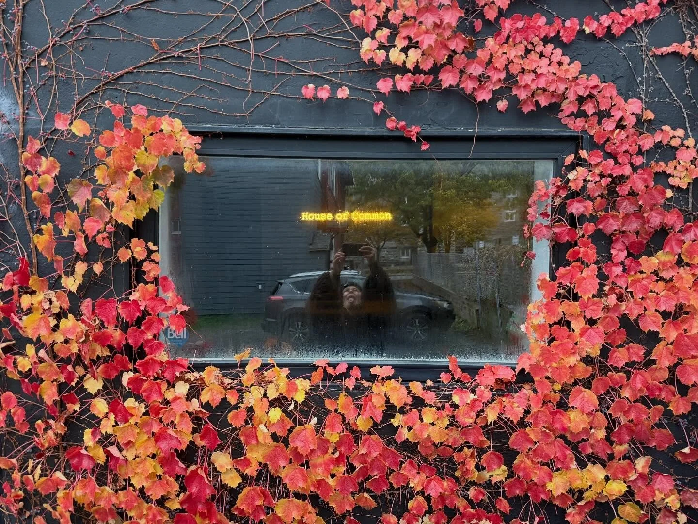 Good morning, beautiful friends, Thursday again, hopefully your week is going well. @houseofcommon.studio