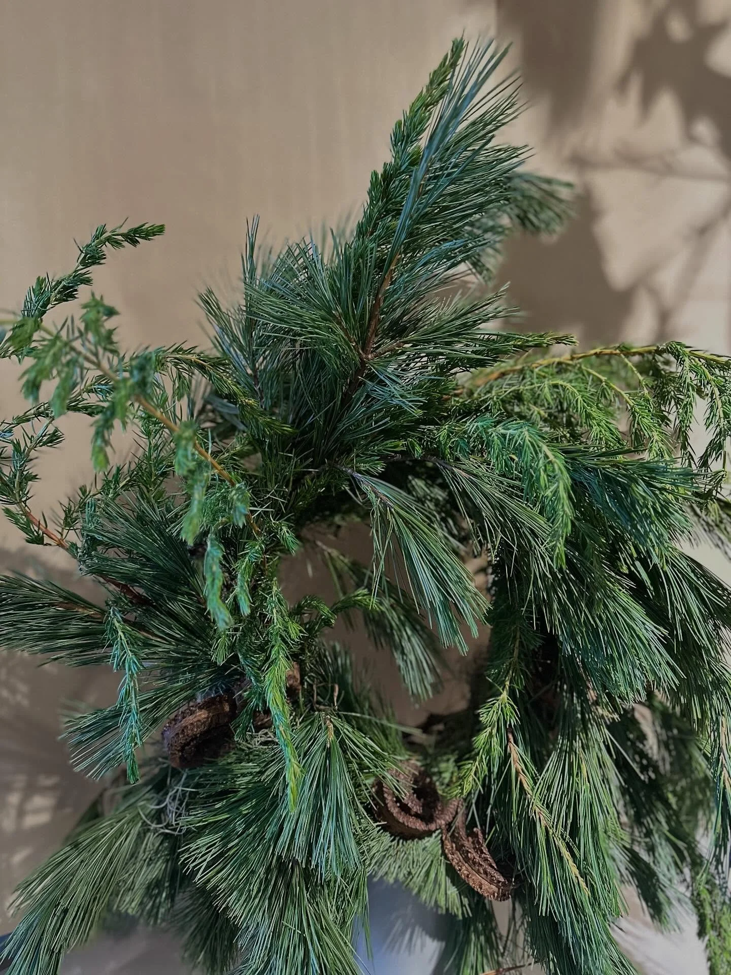 Winter greens, wreaths, candles arrangements and more starting this week. X