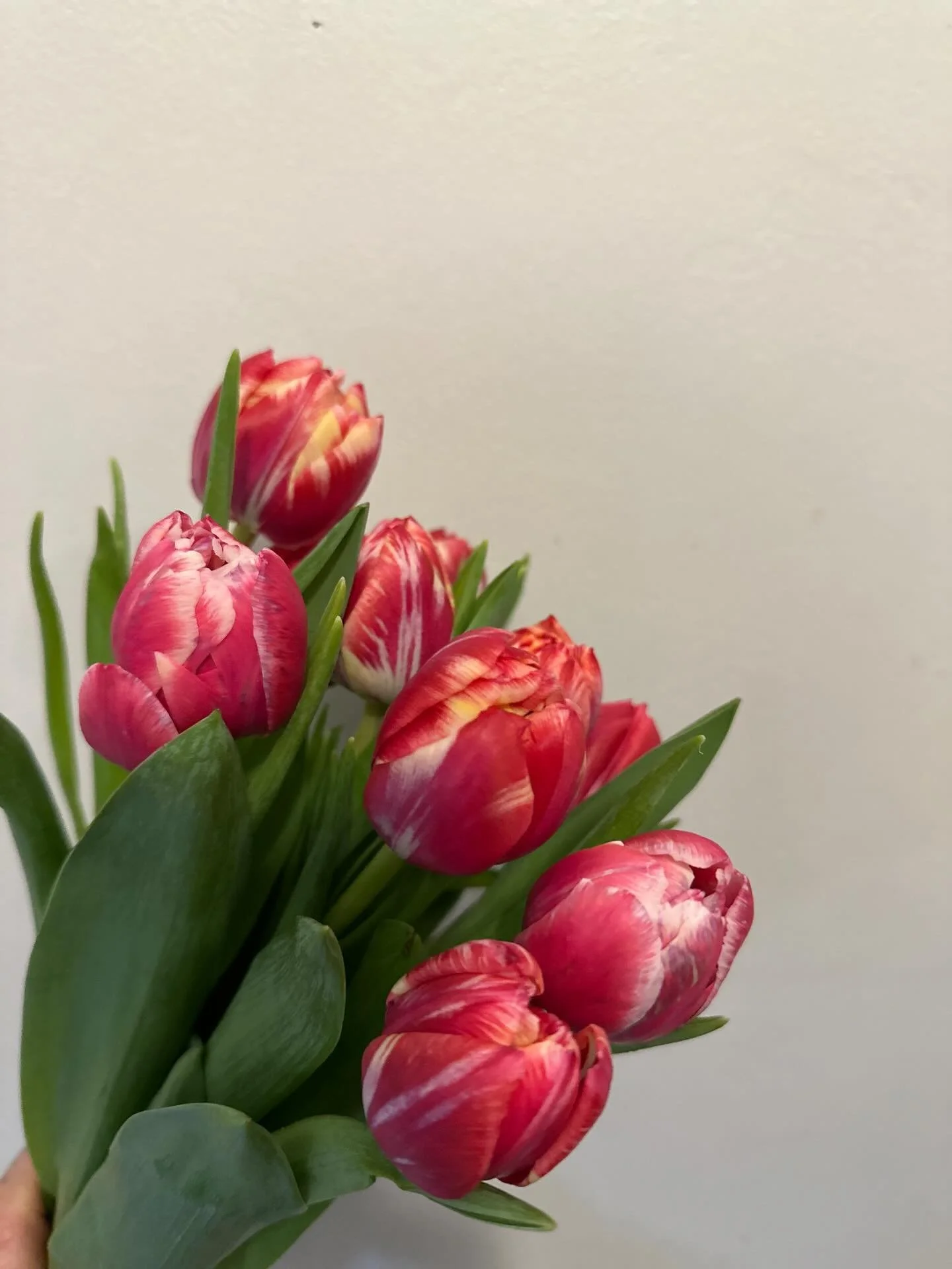 Hello friends &amp; community, we are closed till January 13th. Thank you for understanding. See you soon!