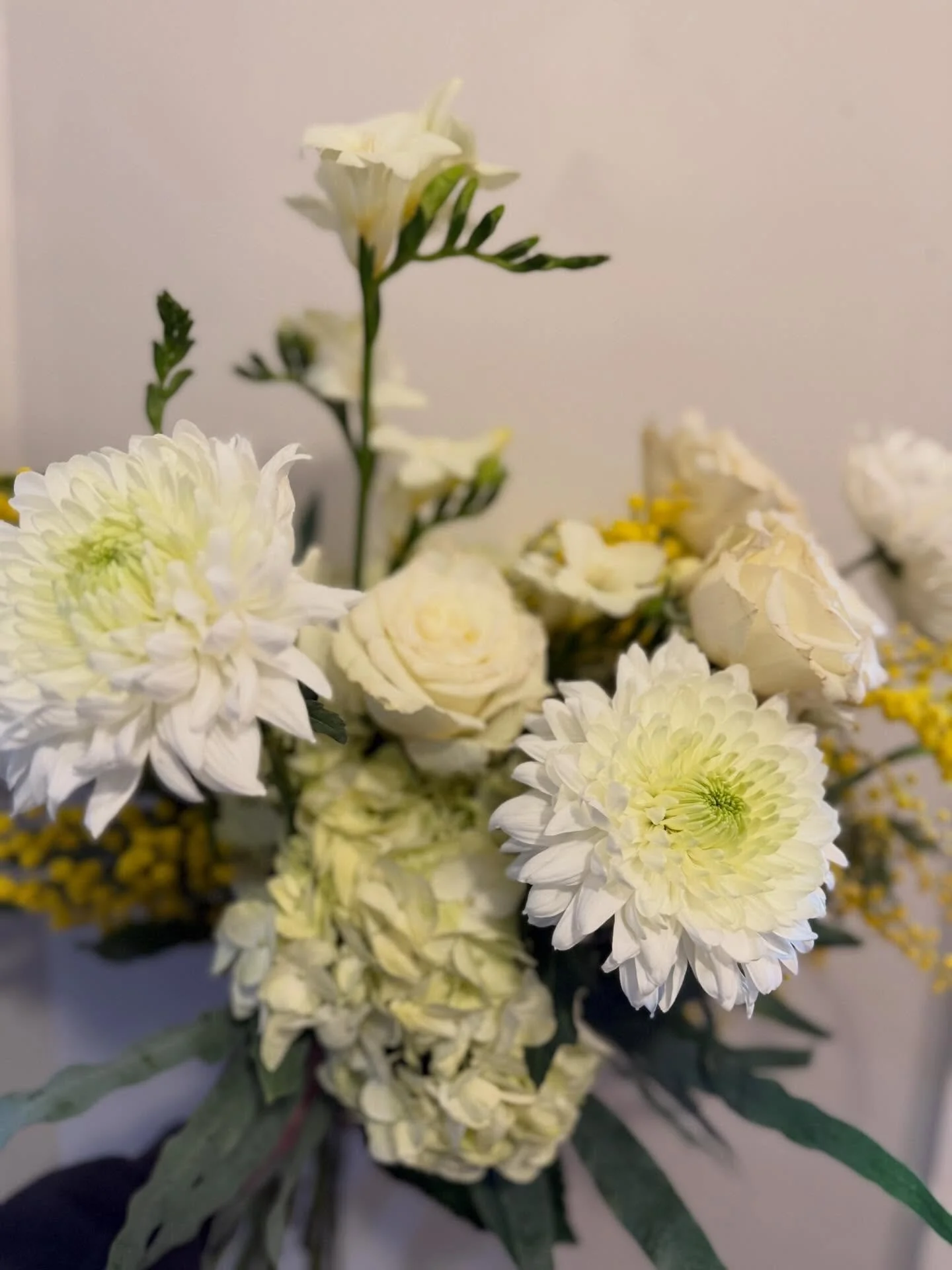 Winter / Spring collection is live. Studio open Tuesday to Saturday.