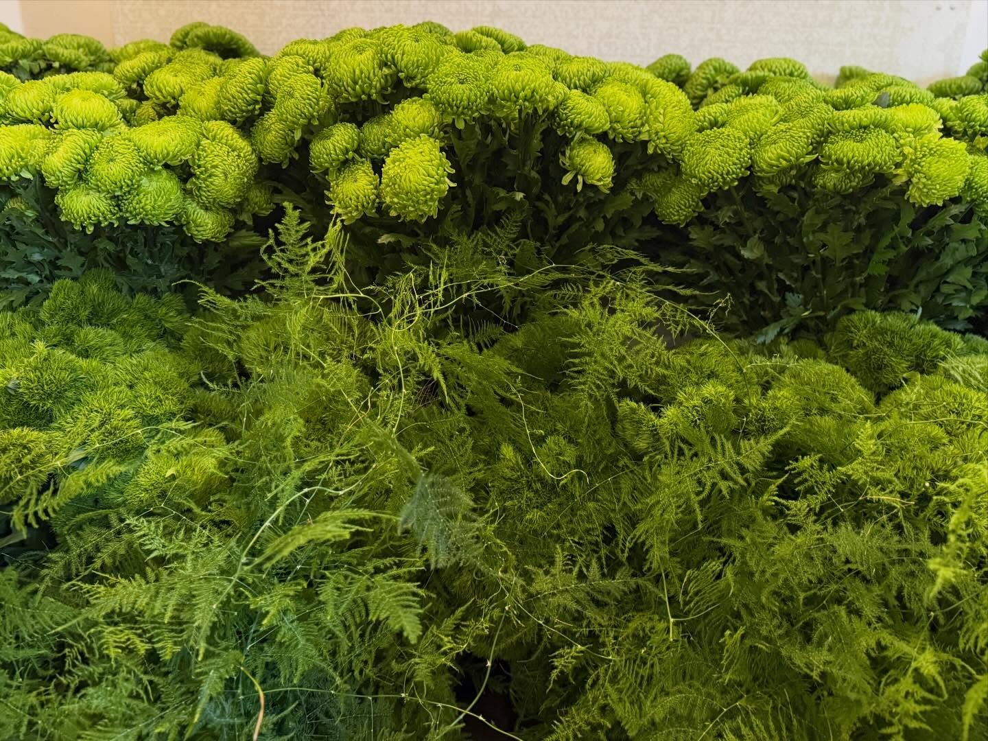 PREP TIME. Event vibes with @jane_and_company 🤍