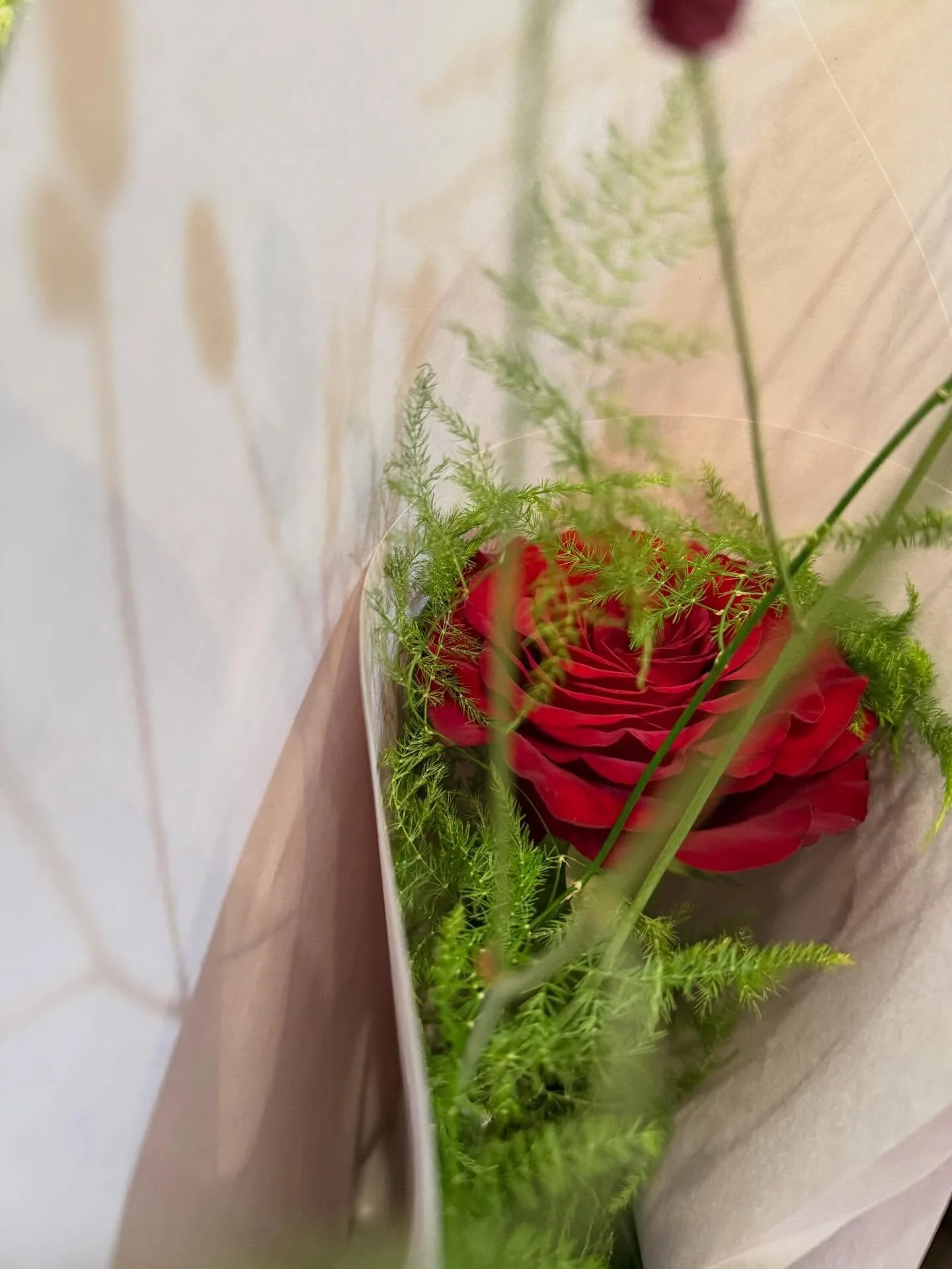 Classic single red rose &amp; &hearts;️🎈 . Happy Valentine&rsquo;s Day. X

TY Michael