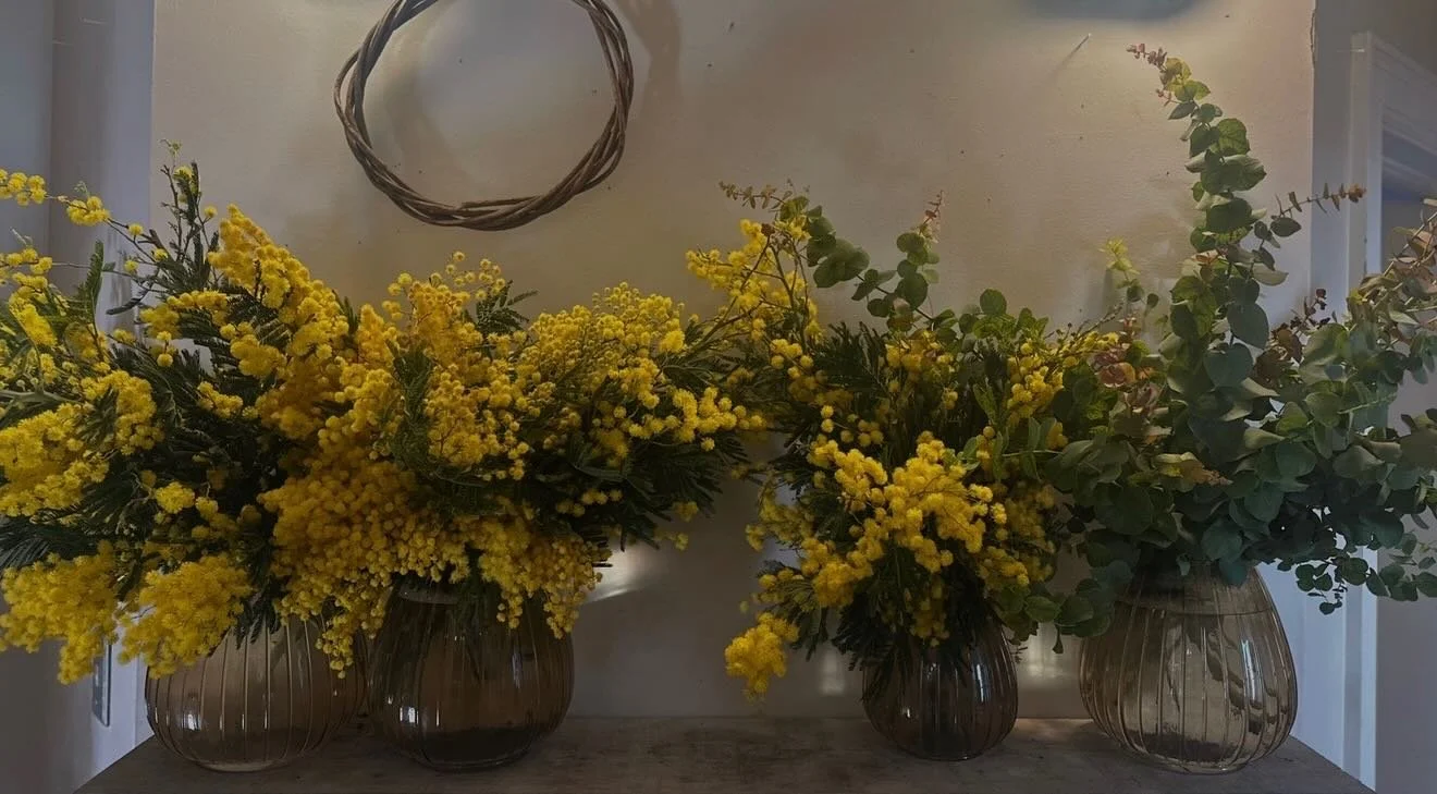 Hello Friends, March 8th, International Woman&rsquo;s Day. Let&rsquo;s celebrate, let&rsquo;s be proud and loud. Please pre order the official flower&hellip; italian MIMOSA.