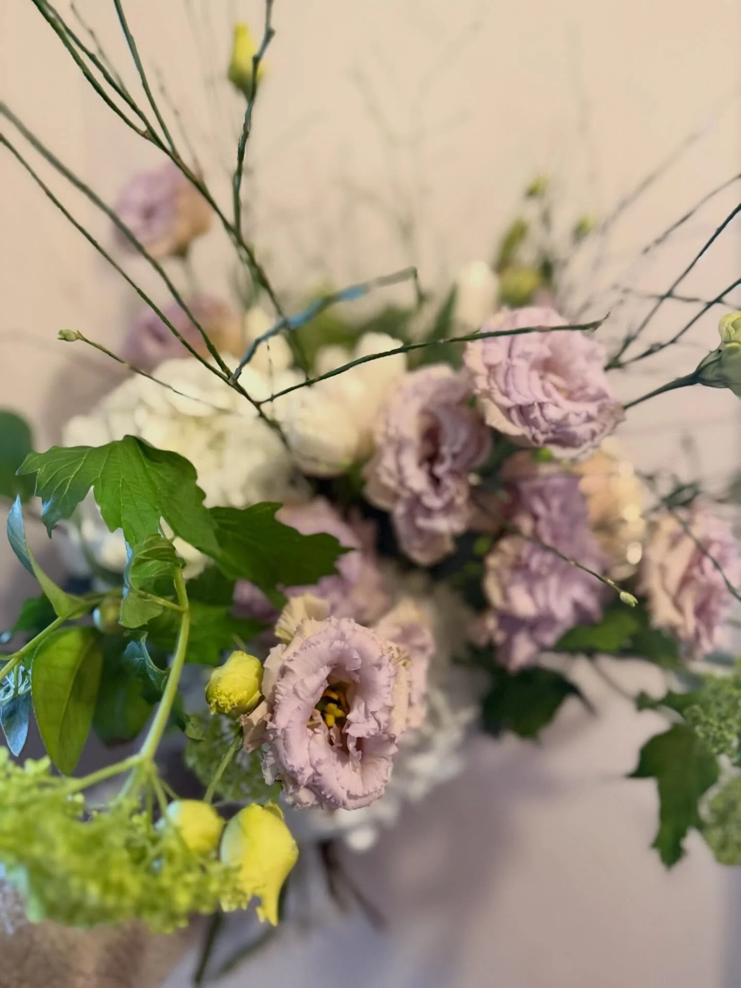 Good morning luvs. Icy out there, be careful and stay cozy! We are open at 10am. X