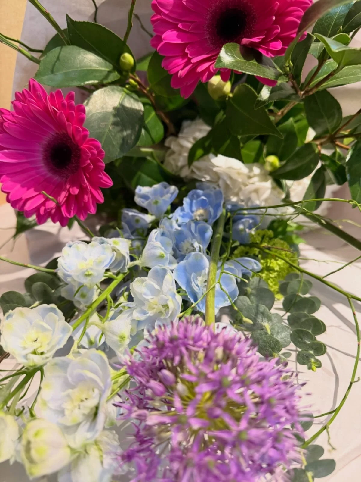 Spring feels today, thanks you Sun.