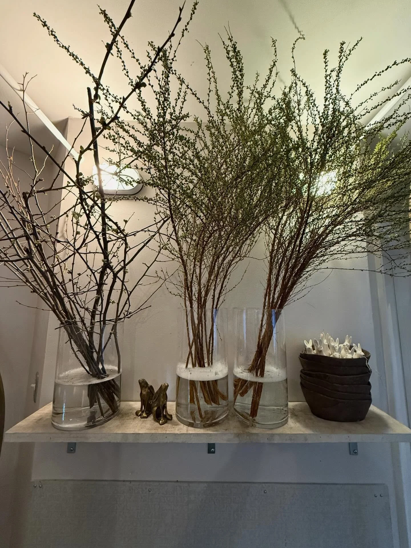 Hello friends, so many inquiries about flowering branches for the spring and they are finally here we got quince, we got CHERRY, we got Spiria, we got all kinds of different willows come and get them while they last this season is short due to taxes,