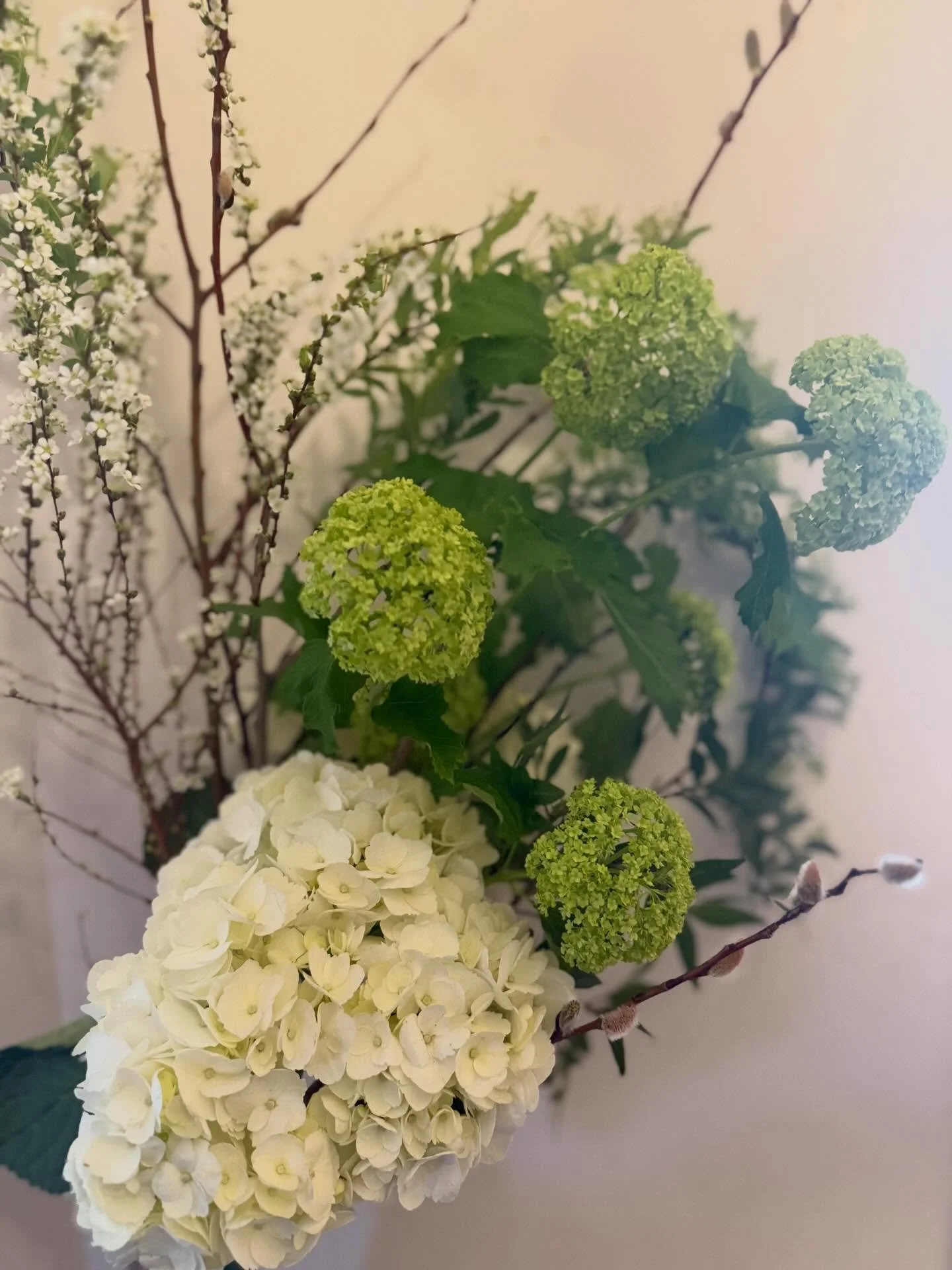 Fresh every day is the assignment. We delivered. Thank you to my suppliers.