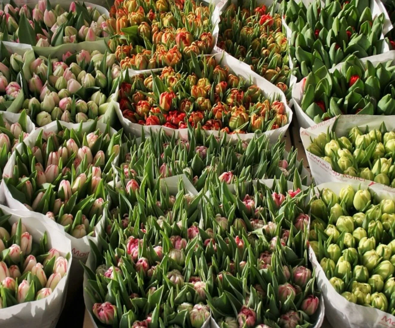 THIS WEEKEND IS LOADED!! 

POP UP @bridgeheadcoffee MARKET THIS SUNDAY&hellip; AT 1277 WELLINGTON STREET WEST. LOTS OF GOODIES, FINGERS CROSSED THE WEATHER PLAYS NICE. X