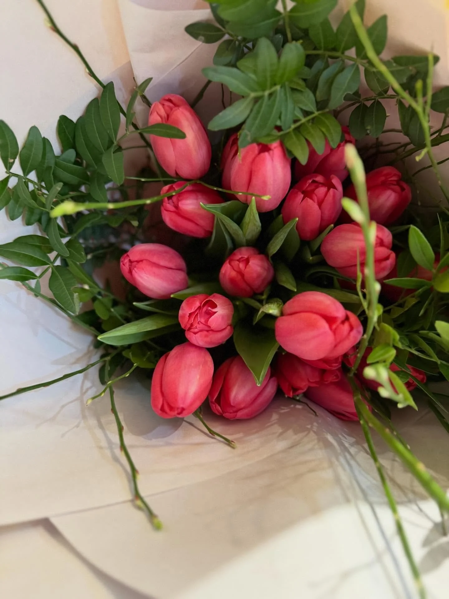 Proudly Canada grown Tulips in PEI. @vanco_tulips