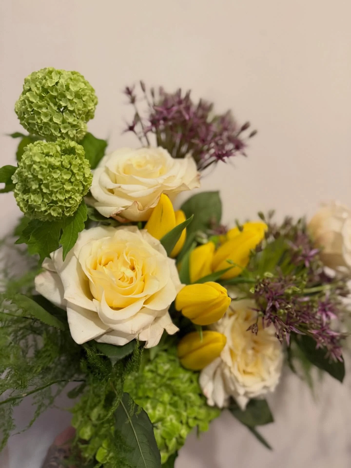 Viburnum season has arrived. Short but 💥