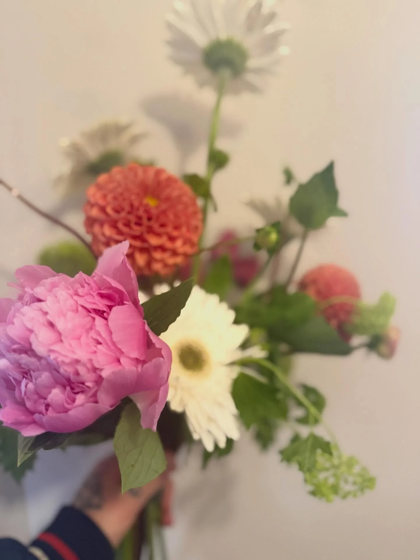 ▶️ mothers-day slide. Call, email us or just pop in to pre order for this weekend. Lots of beautiful things available, small or big budged, we got you. X
