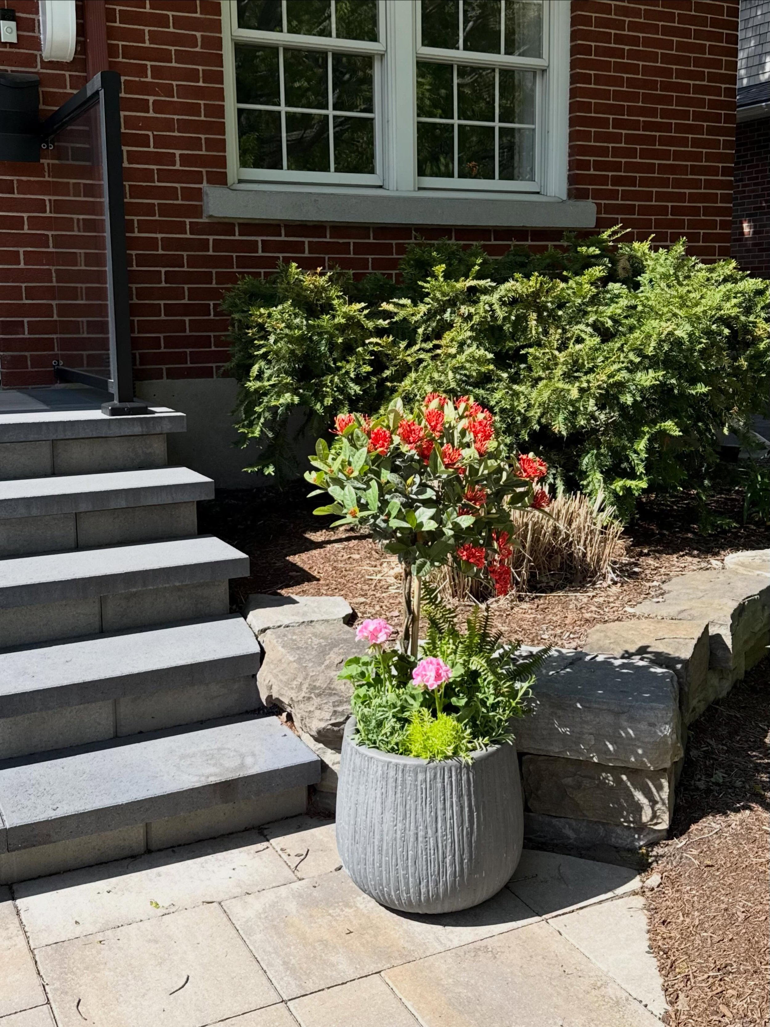 Cute Xora the star of this planter(s). Please keep in mind this is freshly planted, give it a month or two and it&rsquo;s going to look fabulous and huge all summer long. All you need to do is keep it hydrated and fertilized and you are a lucky lucky