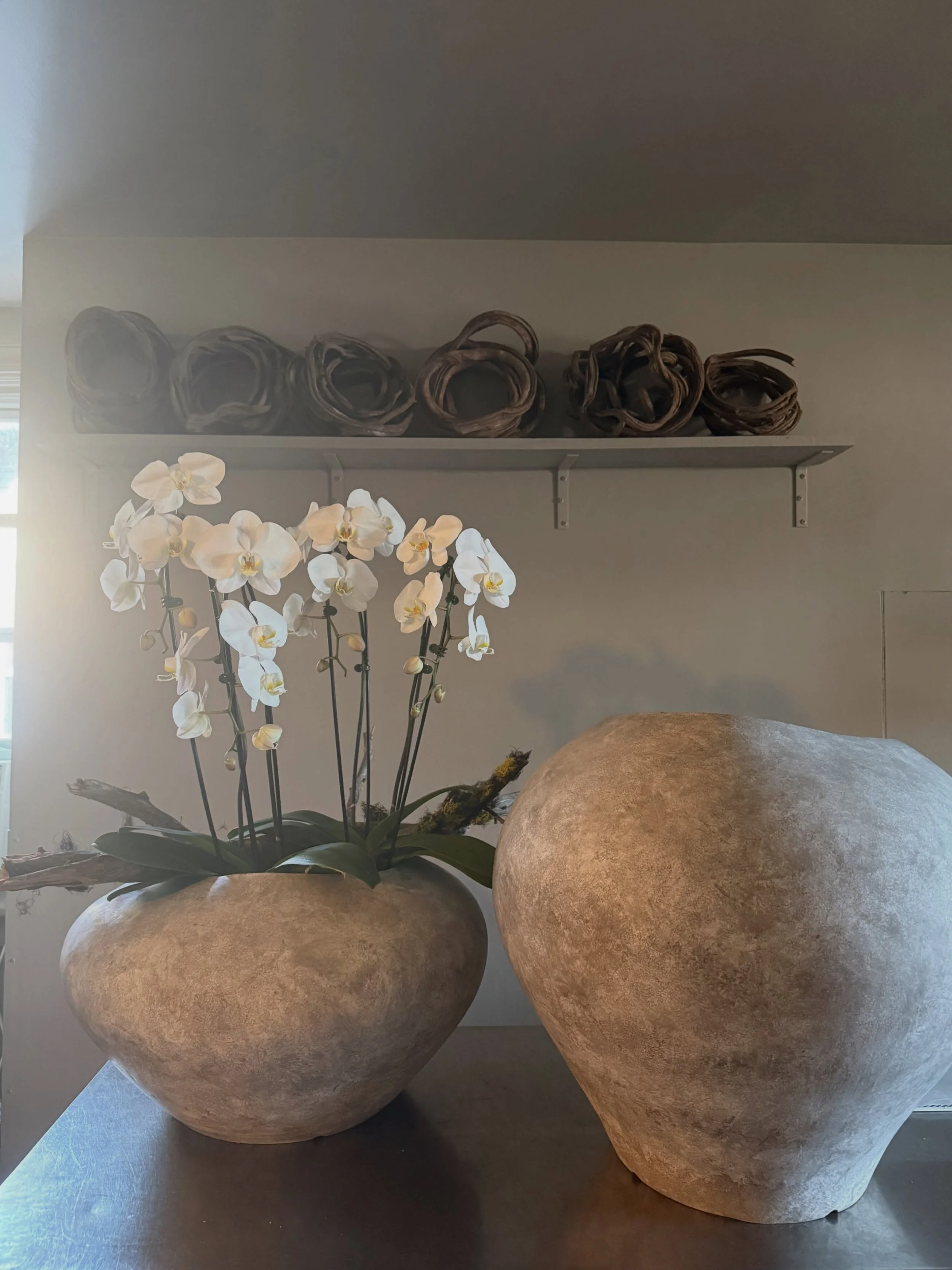 At the studio lately. Serene and calm. We have arrived. Please come and check us out, fully renovated and ready perform. X

Some delicious new activities are coming your way this fall; classes, fun, &hellip; just wait. Announcements happening soon. P