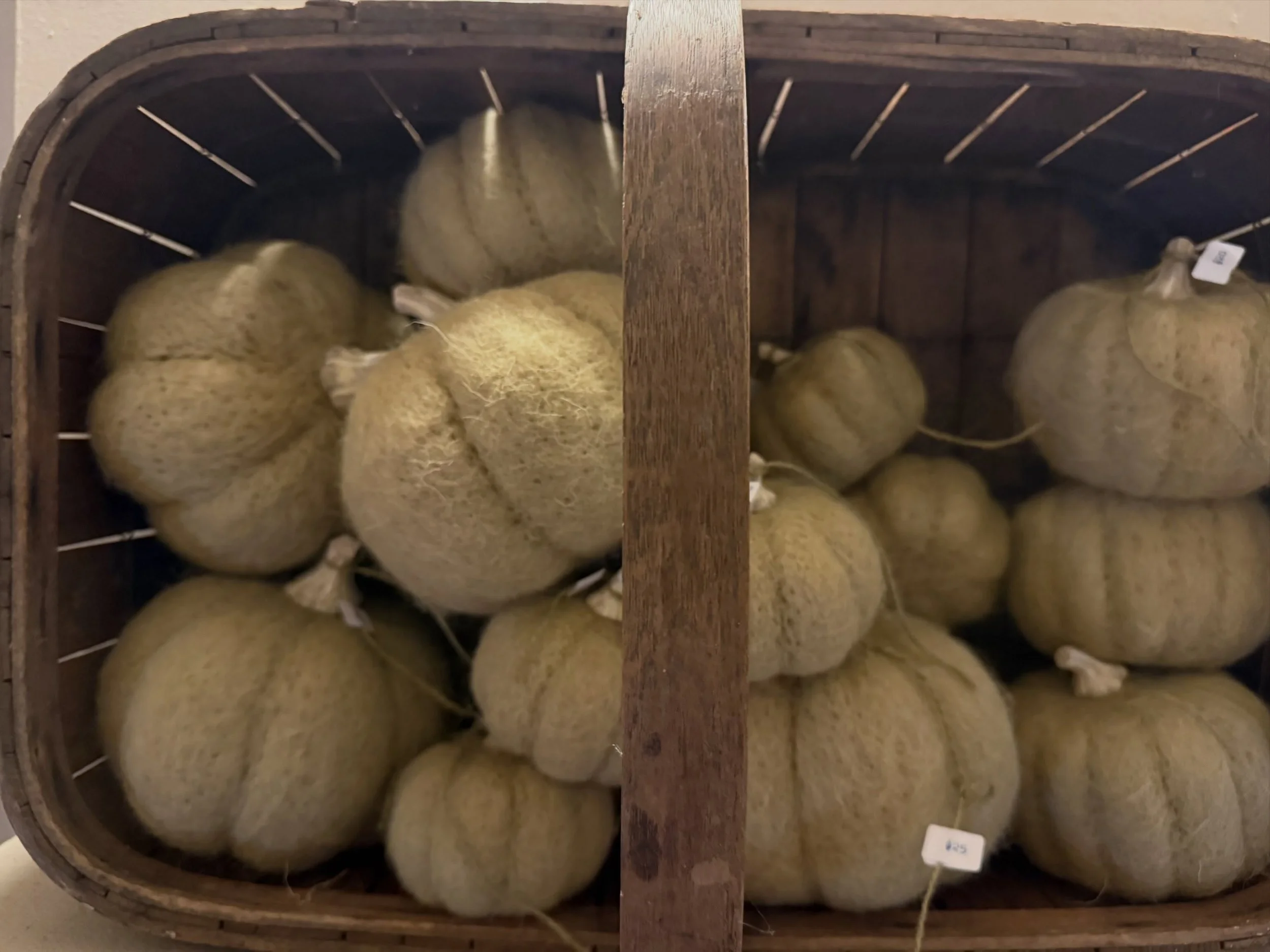 Pumpkin szn is here.