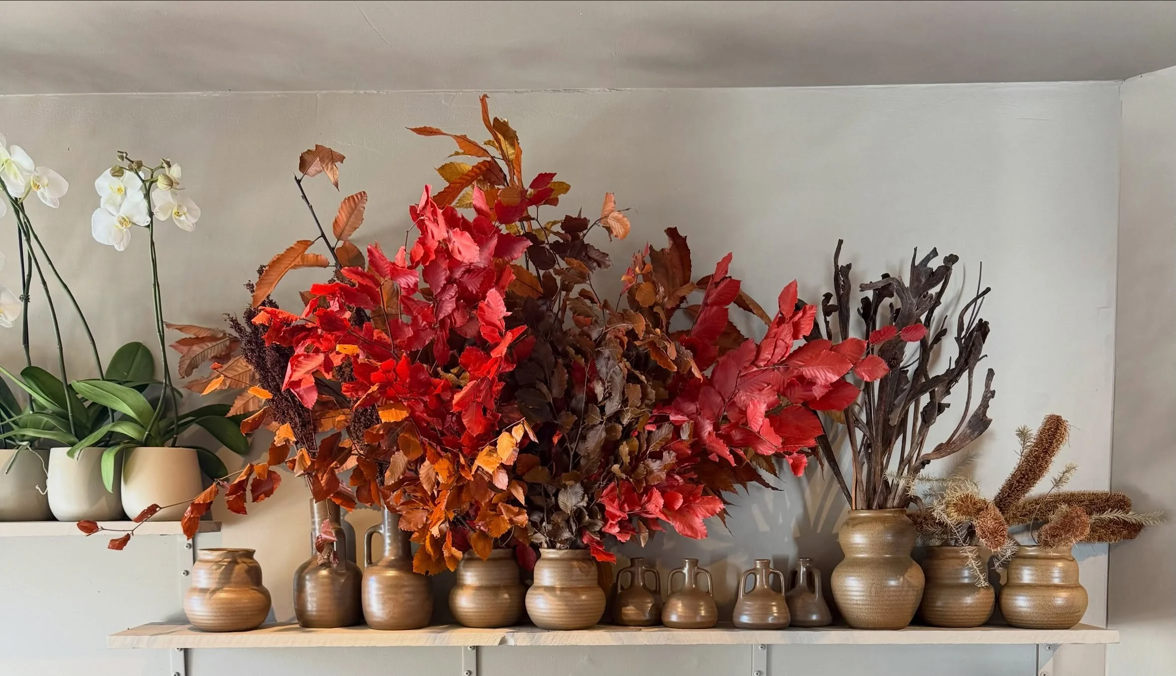A bit of a fall vibe. Some preserved and plush goods for the season. Cozy little things. Please come by check it out and maybe grab some lil decor items for the season.