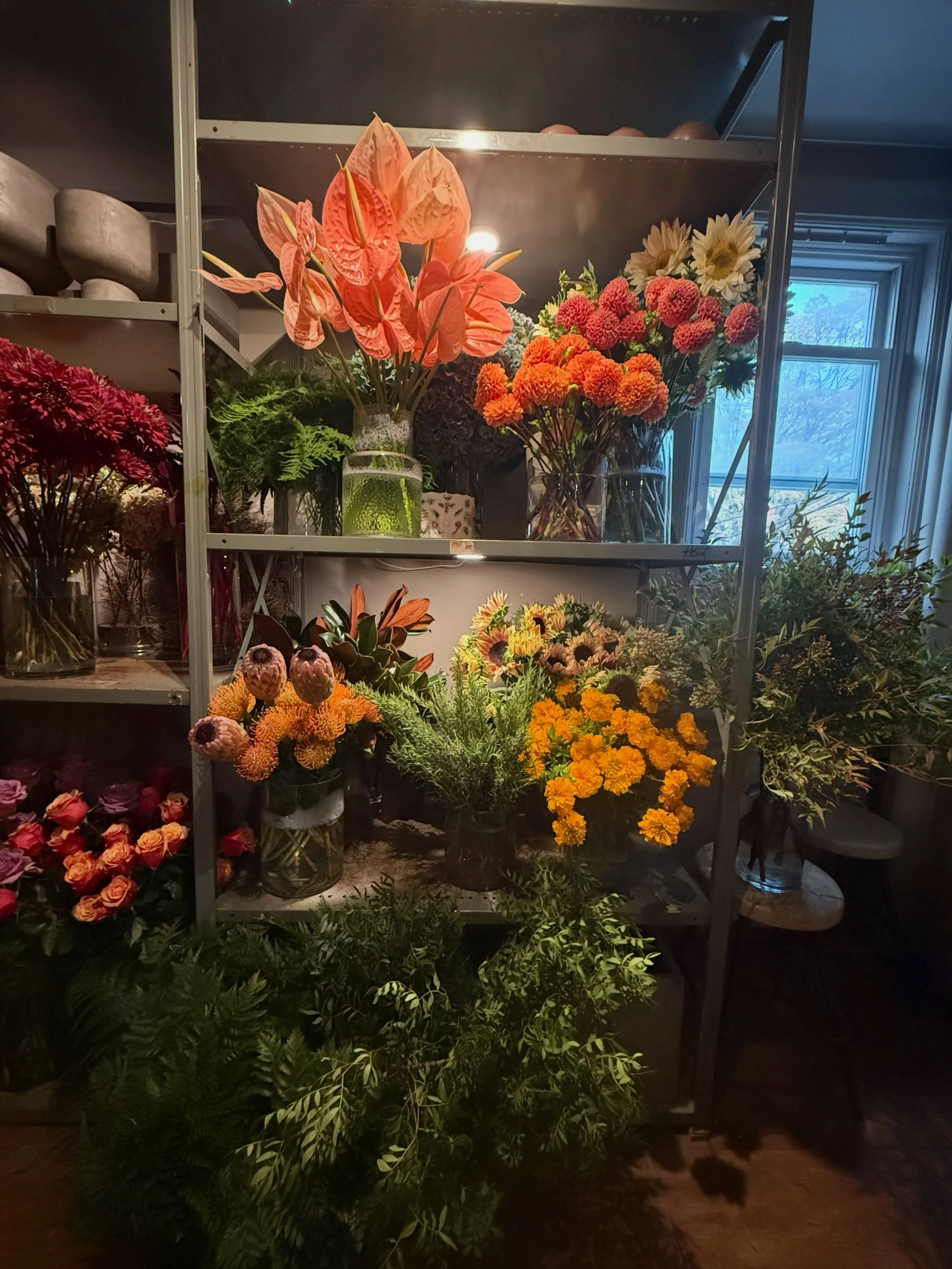 Wednesday refresh &amp; refill. Moody fall tones. Yes we are here for it. X

FIRE.