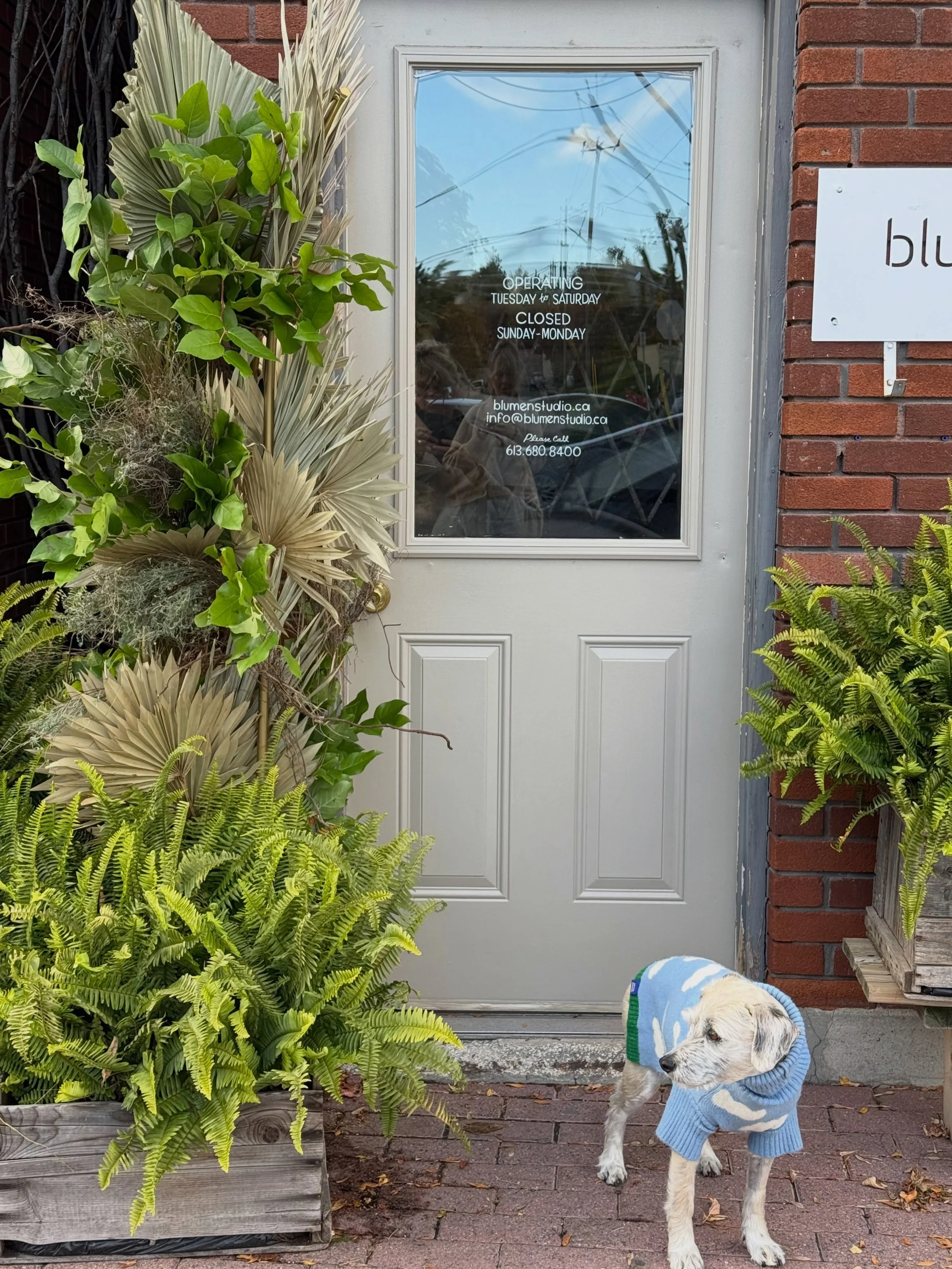 Good morning friends, open at 10am. I got lots of beautiful local flowers for this weekend. Hope to see you after your farmers market visit. X